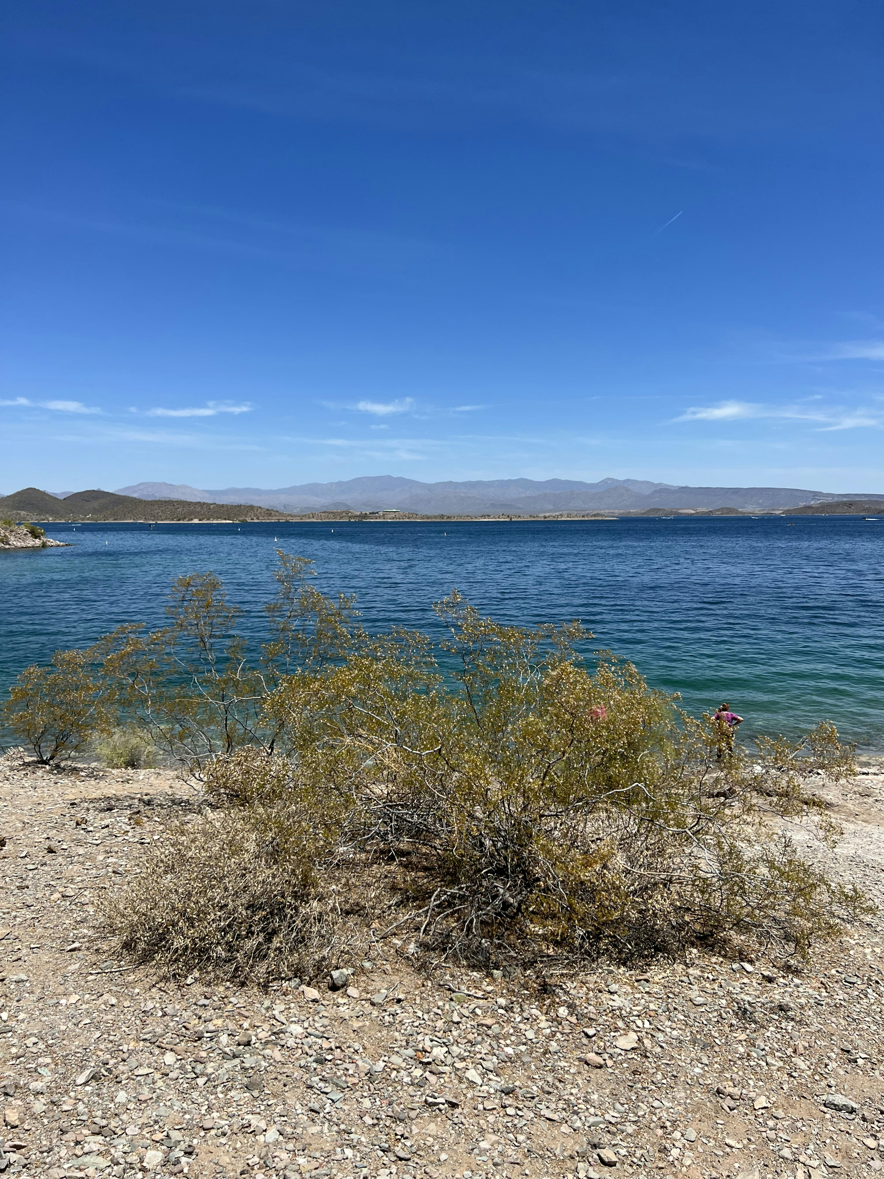 Photo by blairneedsanap