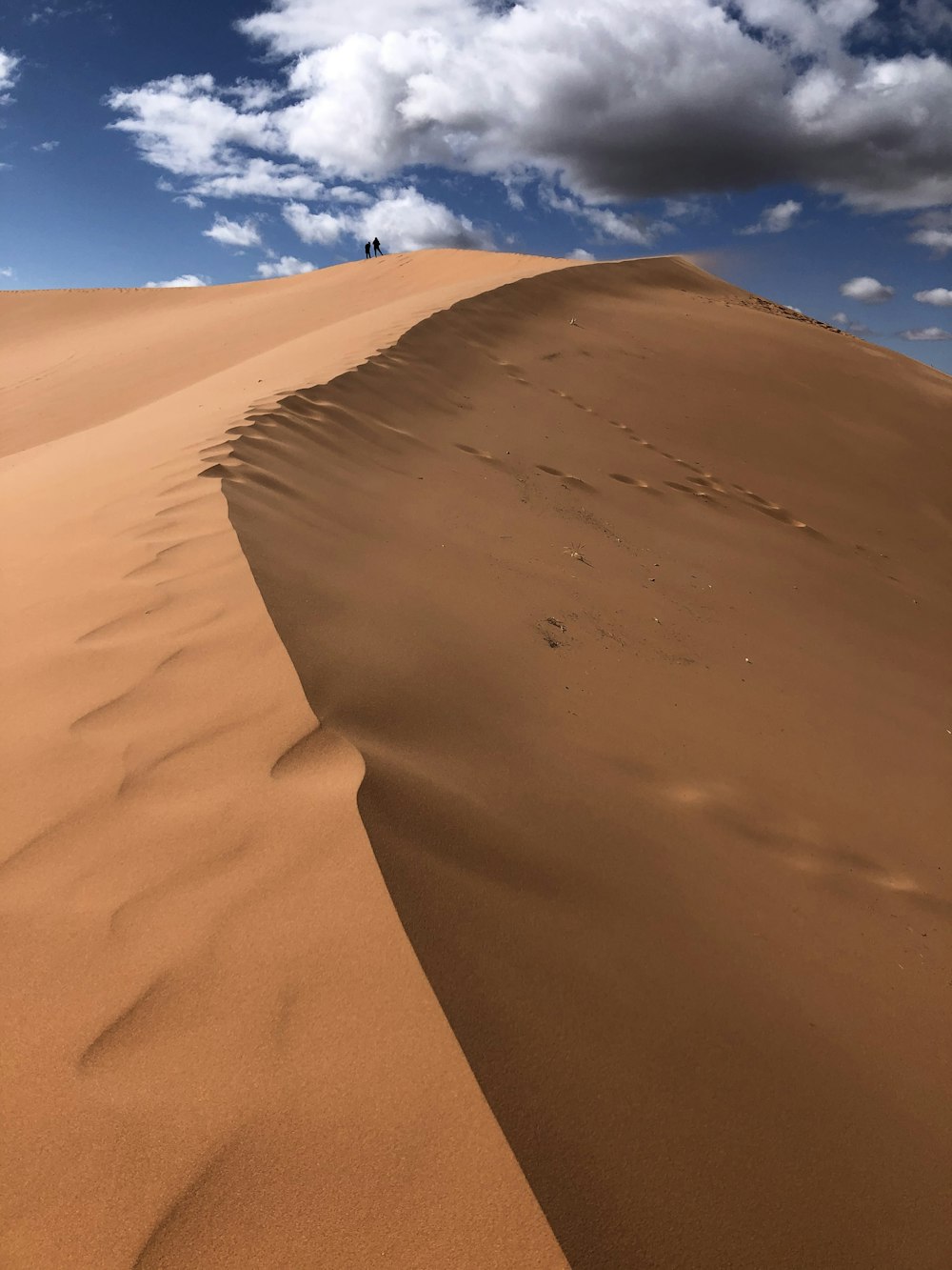 a person standing on top of a sand dune