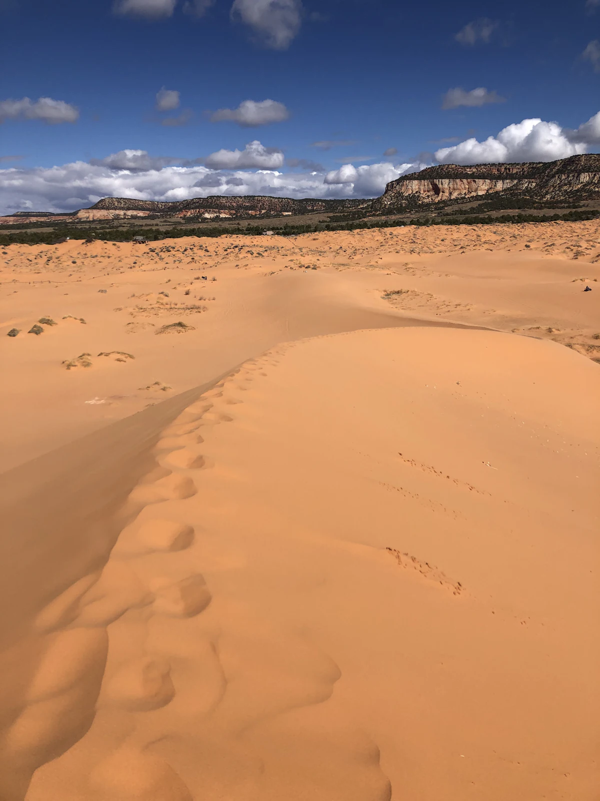 Footprints across the pink sand at Coral Pink Sand Dunes, near Kanab, with a ridge behind