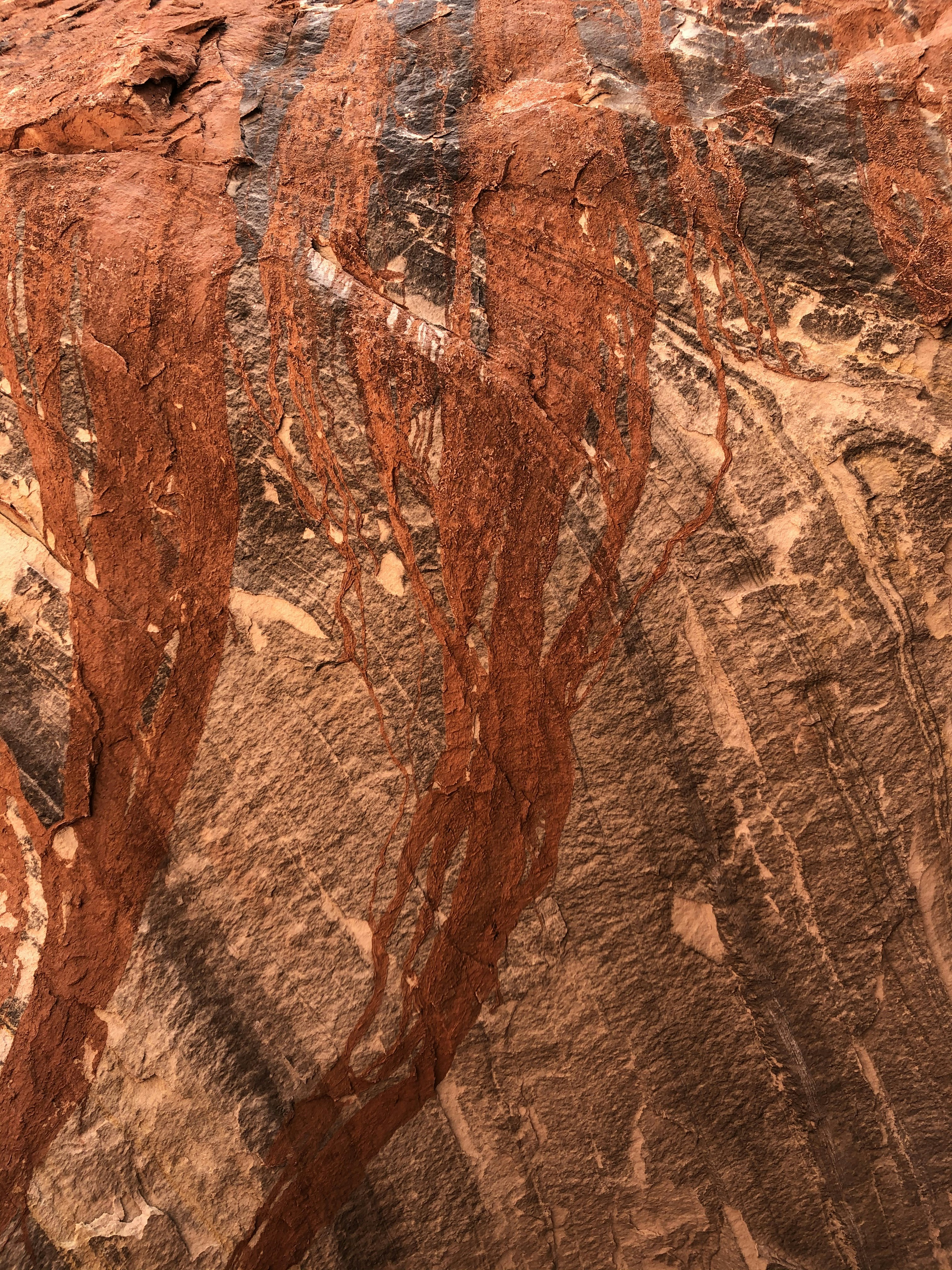 Photo by tyler_mower