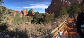 a man standing next to a forest filled with trees