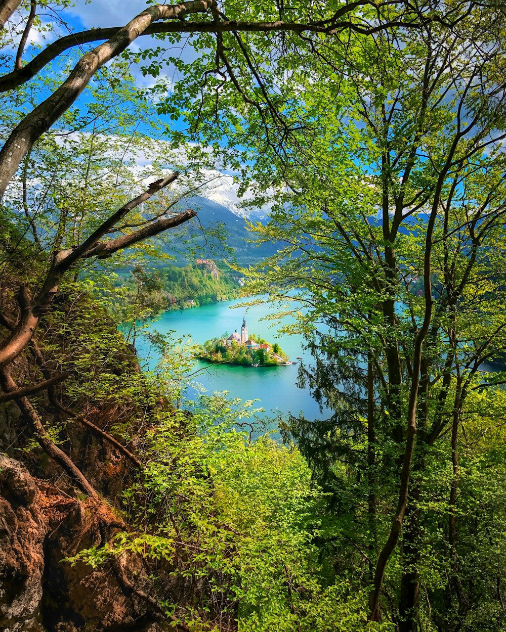 a small island in the middle of a lake surrounded by trees