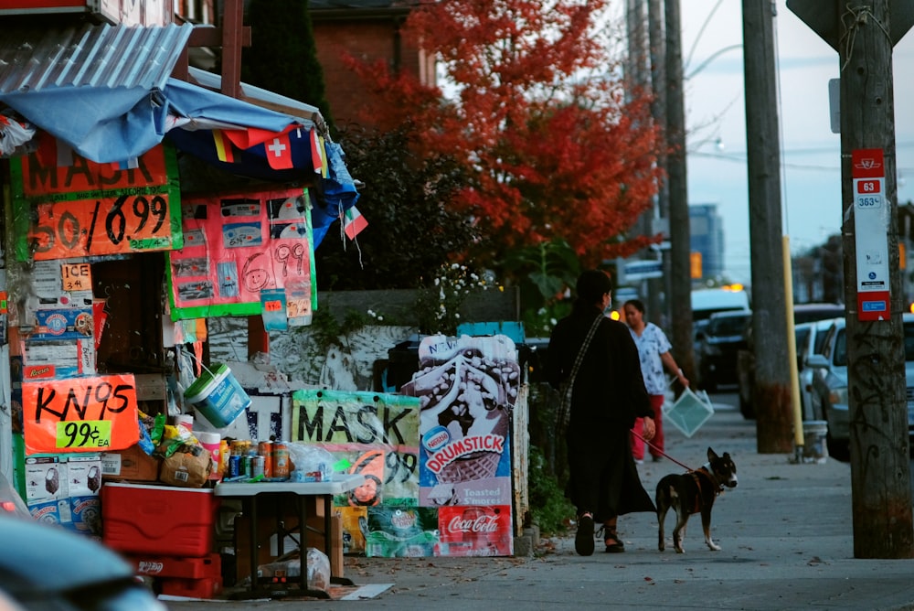 a person walking a dog down a street