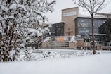 A building with modern architecture features large glass windows and a prominent sign that reads 'stc Sheffield'. Snow covers the surrounding trees and ground, creating a wintery scene. Bare branches and bushes are heavily laden with fresh snow, adding texture to the landscape.