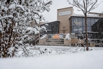 A building with modern architecture features large glass windows and a prominent sign that reads 'stc Sheffield'. Snow covers the surrounding trees and ground, creating a wintery scene. Bare branches and bushes are heavily laden with fresh snow, adding texture to the landscape.