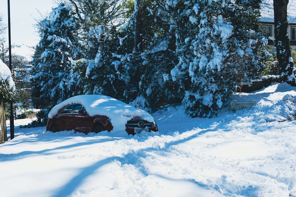 Une voiture est couverte de neige à côté d’un arbre