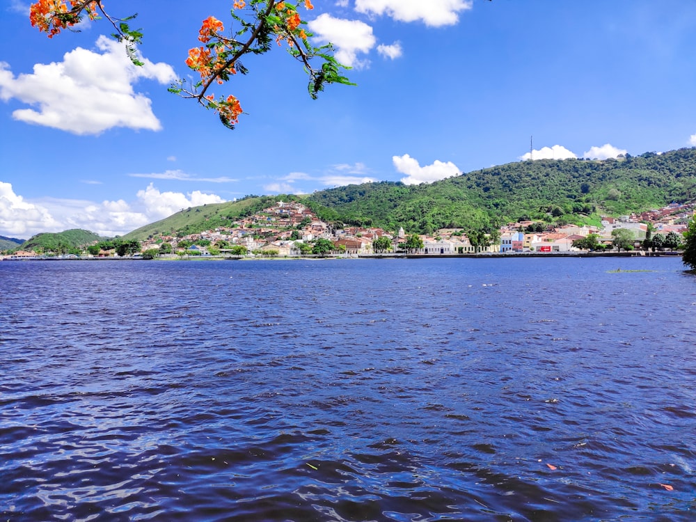 a body of water surrounded by a lush green hillside