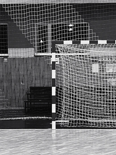 A vibrant indoor futsal match with players celebrating a goal under bright lights.