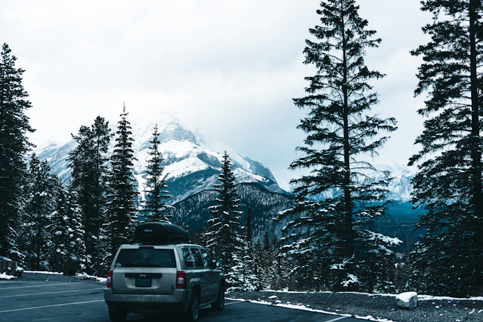 Best Season To Visit