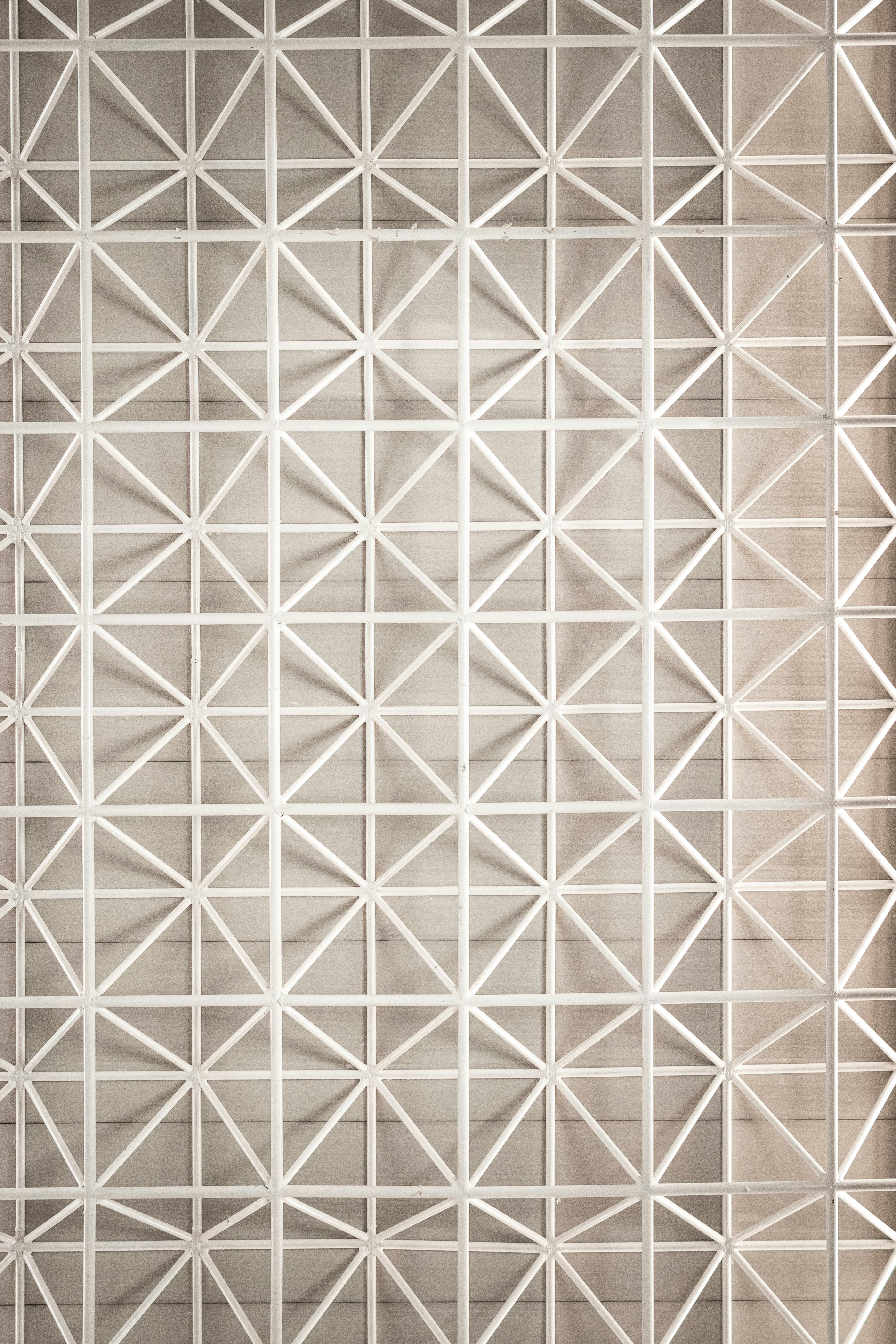 Photo by alex_quezada