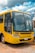 A yellow bus with the word 'TRANSITOLÂNDIA' displayed on the front is parked on a dirt surface. The bus has a distinct front design with large windows and visible windshield wipers. Part of a car is visible next to it. In the background, there are utility poles and buildings under a cloudy sky with patches of blue.
