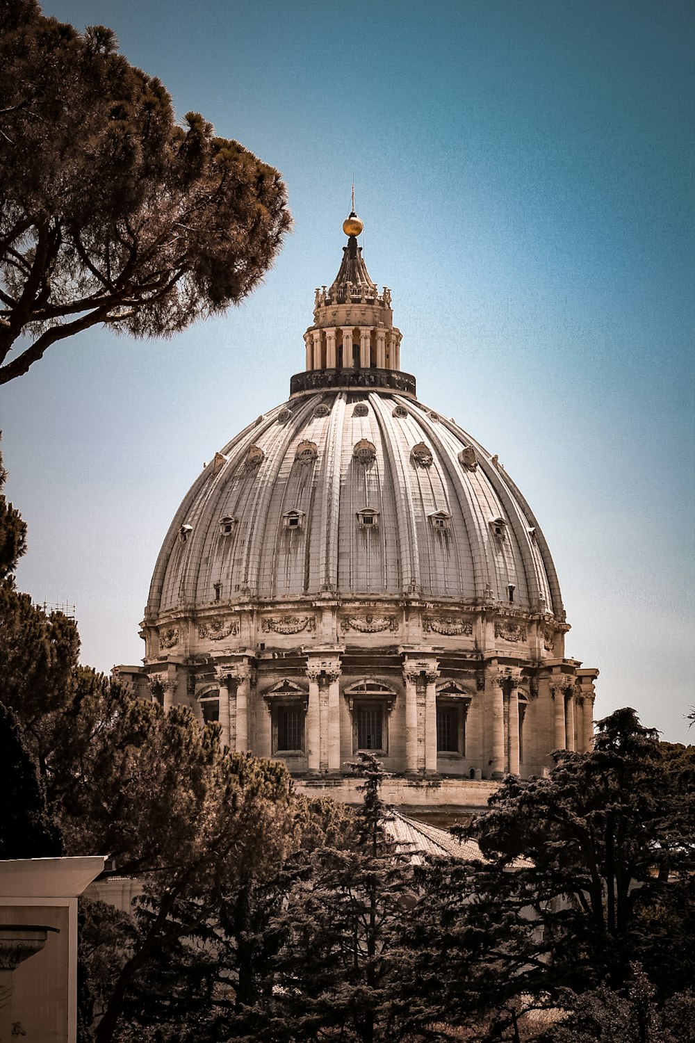 the dome of a building with trees around it