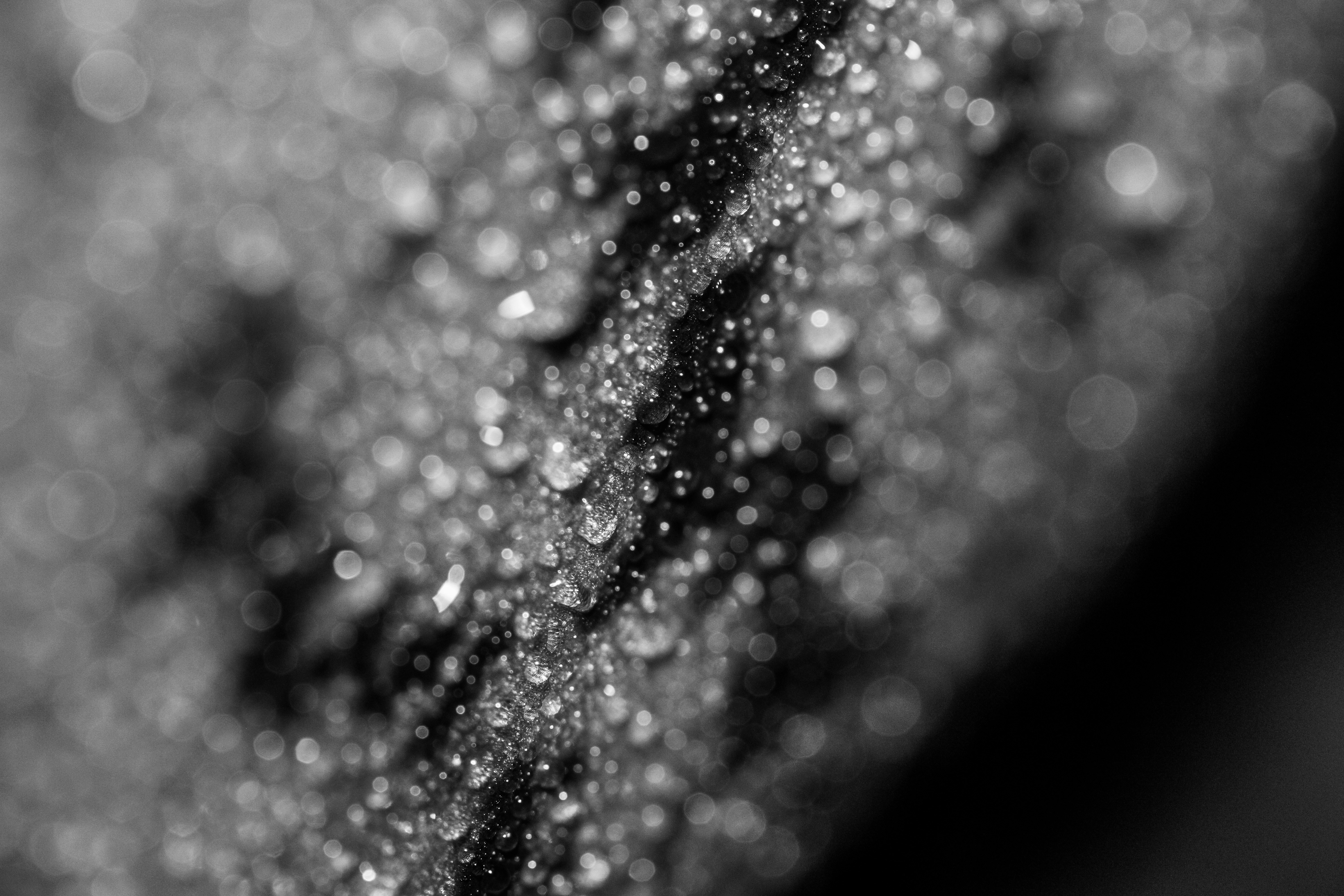 Photo by stellavanhowe