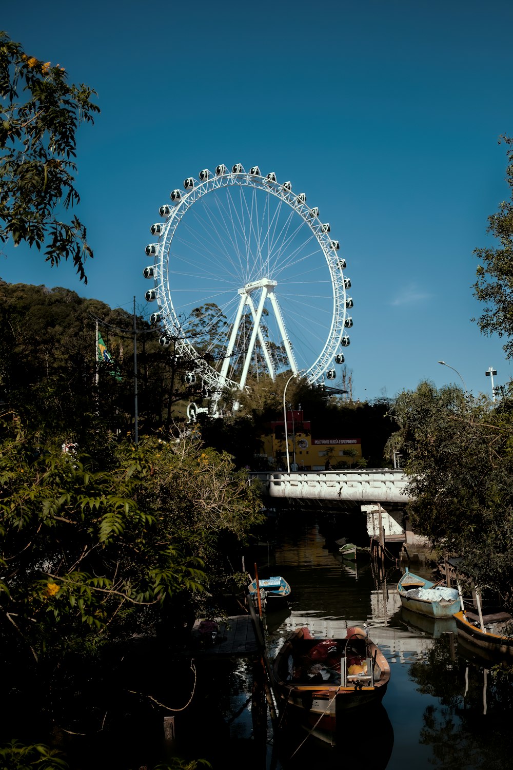 a ferris wheel sitting above a river next to a forest