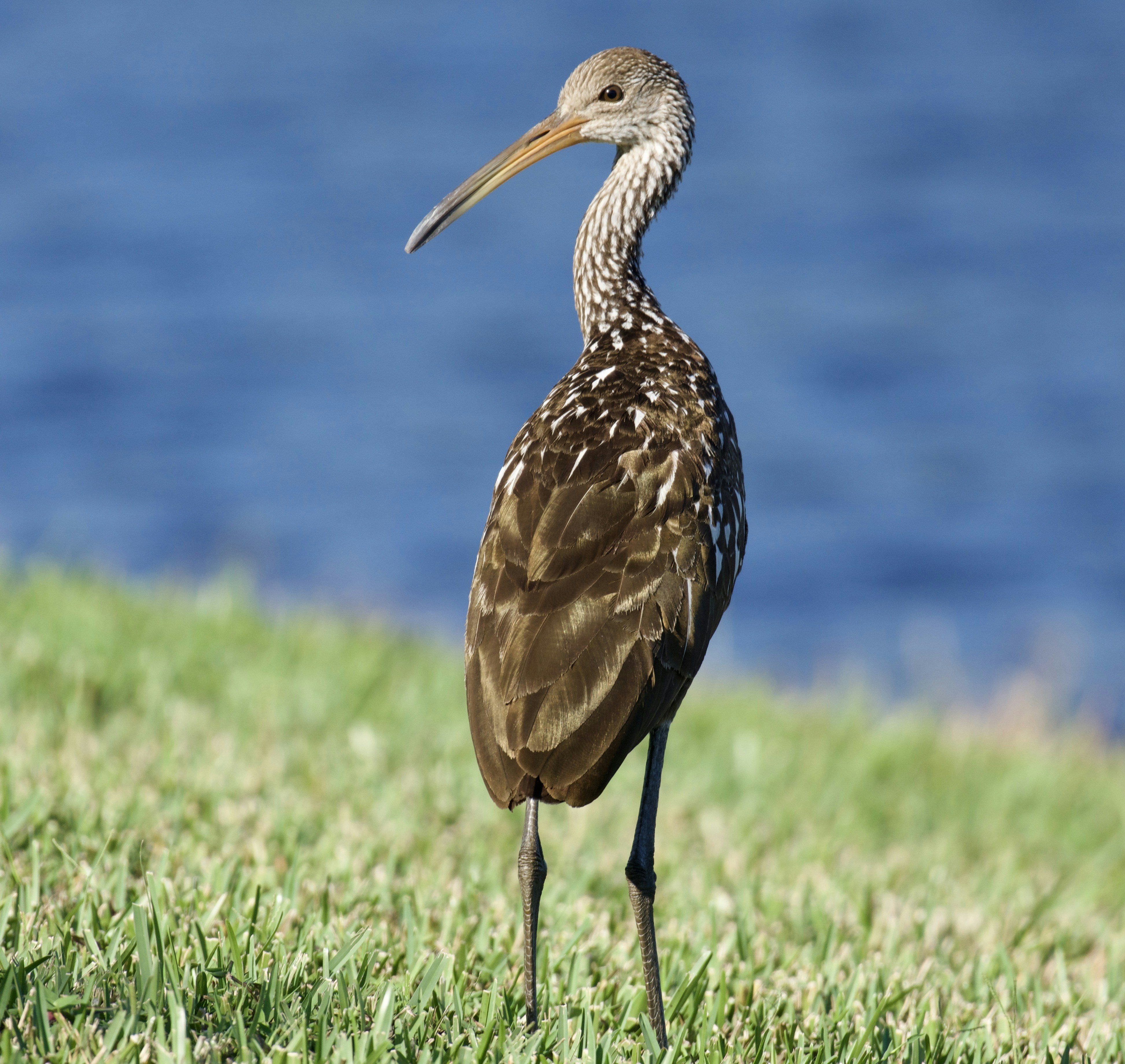 Photo by juliana_chapman