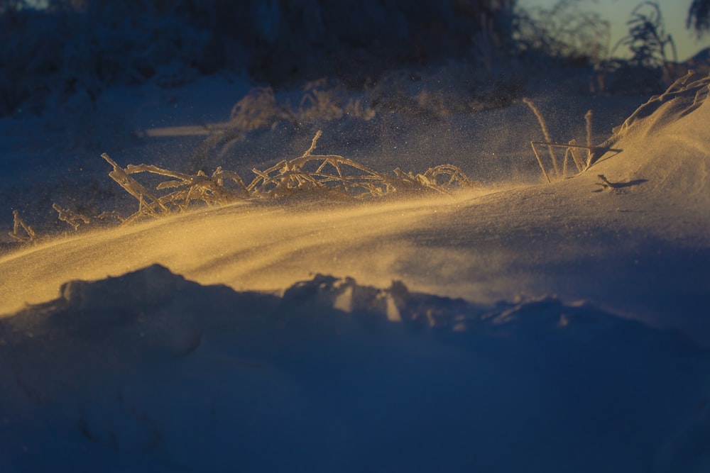 a person riding a snowboard down a snow covered slope