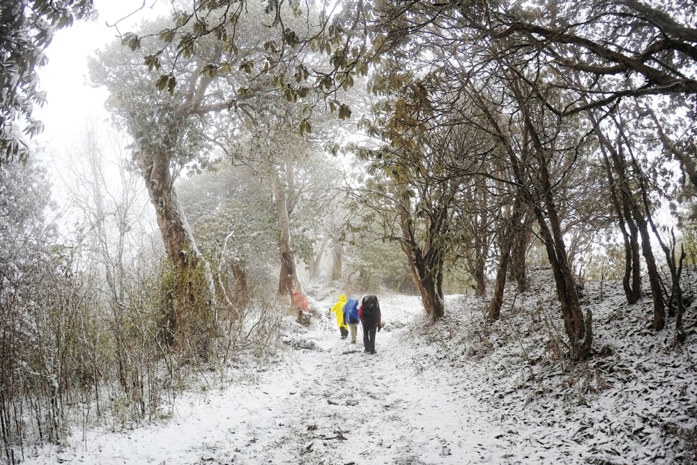 a couple of people walking down a snow covered path