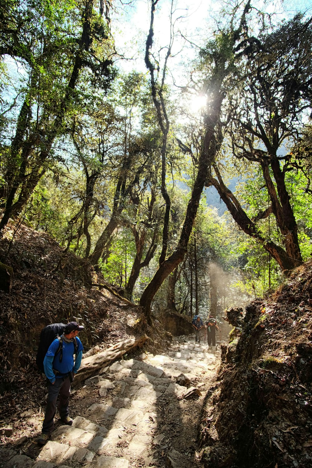 a man with a backpack walking up a trail in the woods