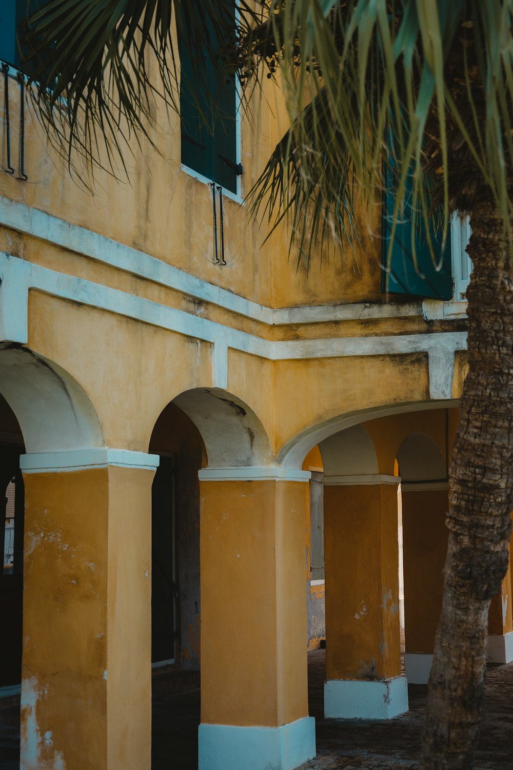 a palm tree in front of a yellow building