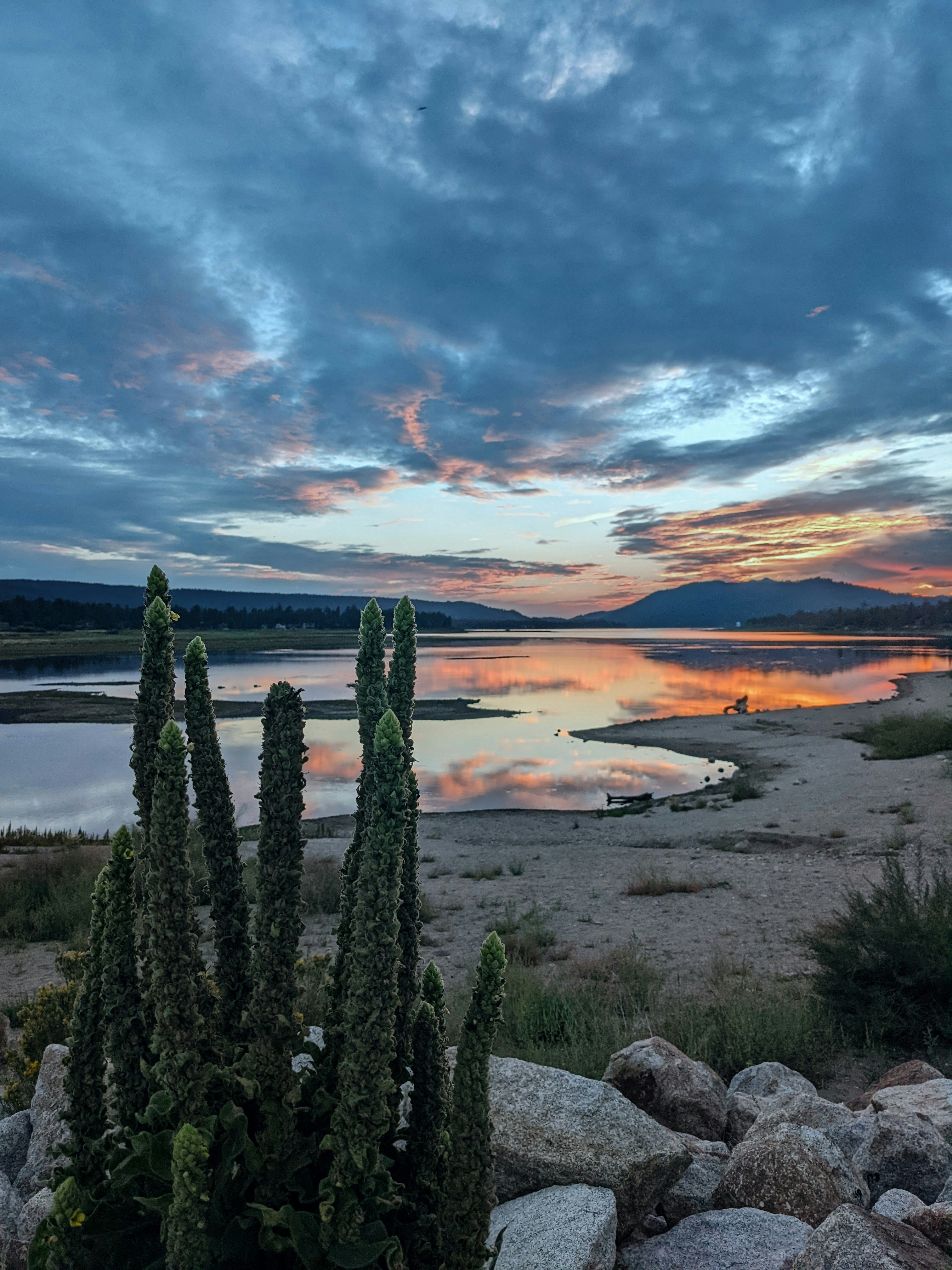 a sunset over a body of water with rocks and plants in the foreground