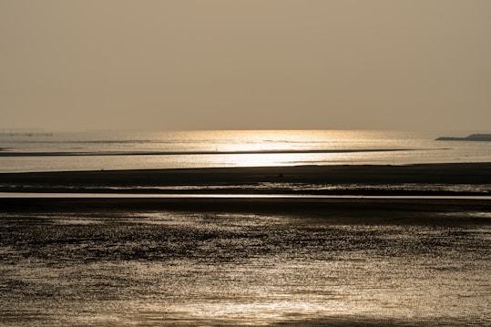 The image captures a serene seascape at low tide with expansive mudflats. Sunlight reflects off the wet sand and water in a warm, golden hue. The horizon appears hazy, suggesting a calm and tranquil environment.