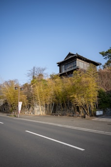 A traditional wooden house is situated on a slope surrounded by tall bamboo plants. The scene captures a clear, blue sky above, with a paved road in the foreground. The setting evokes a serene and rural atmosphere.