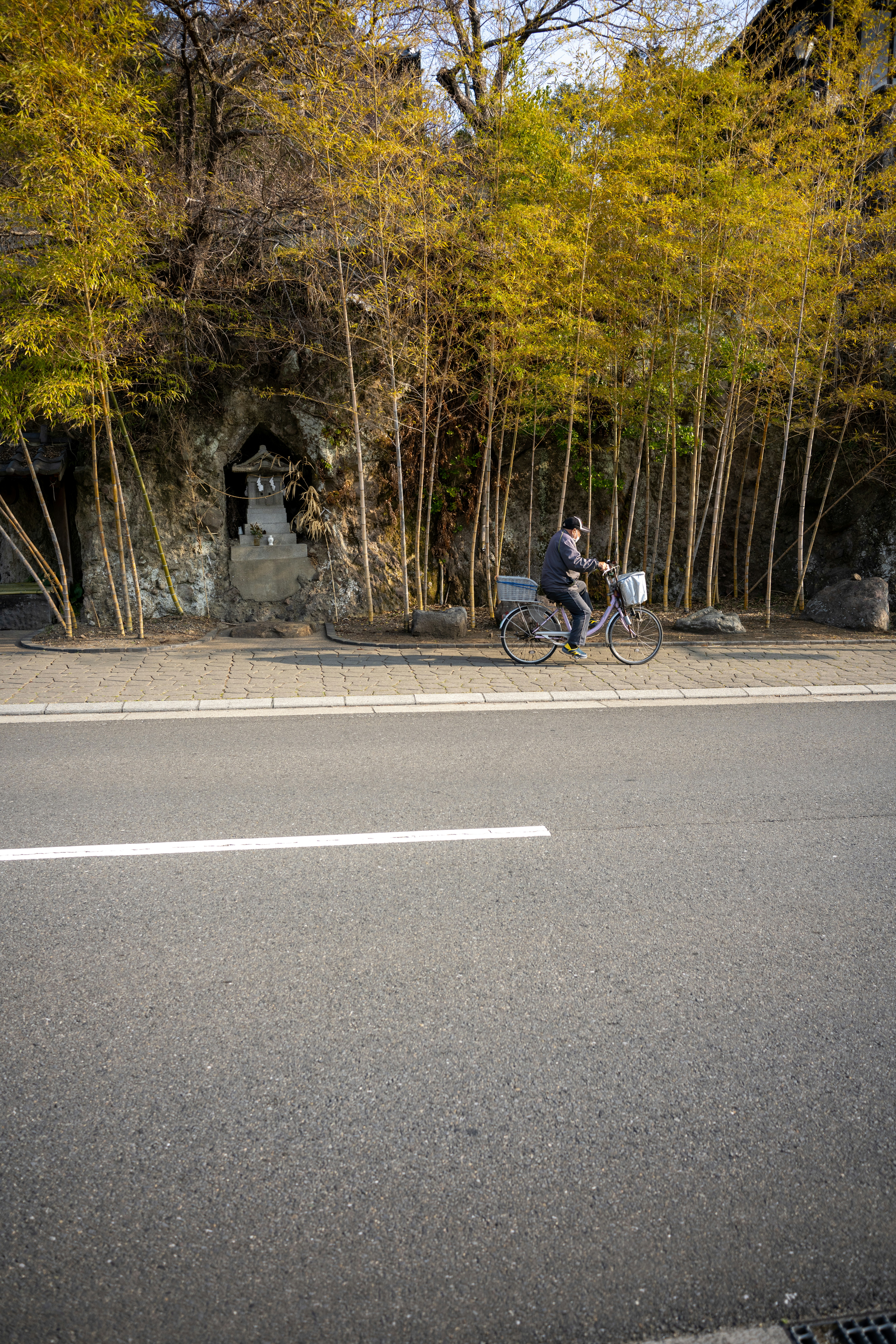 a man riding a bike down a street next to a forest