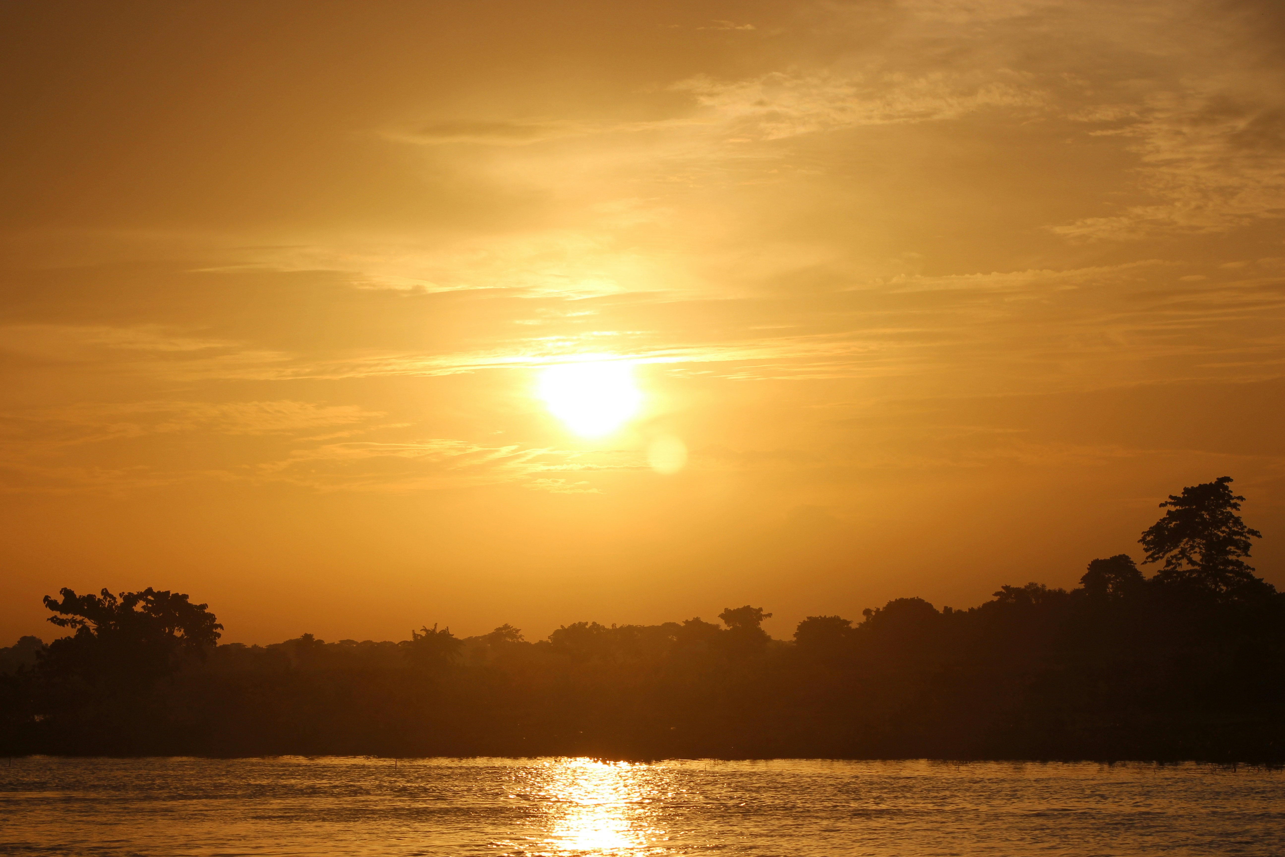 Photo by hridoyafran2252