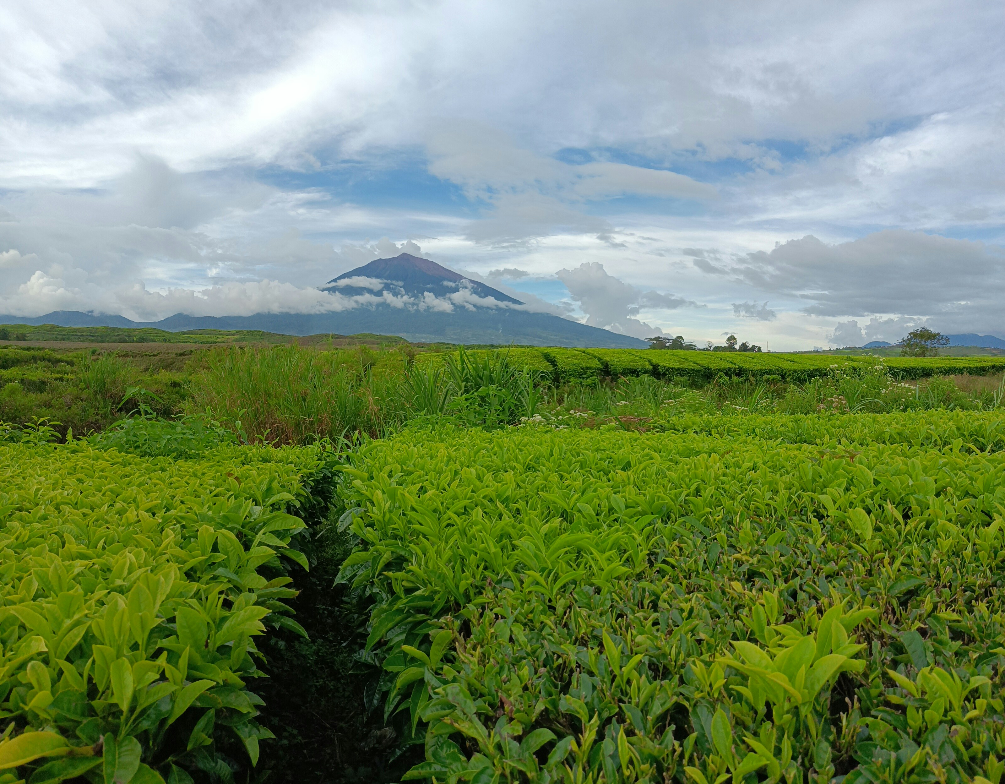Ezy Wiranda (@zyranzy) | Unsplash Photo Community