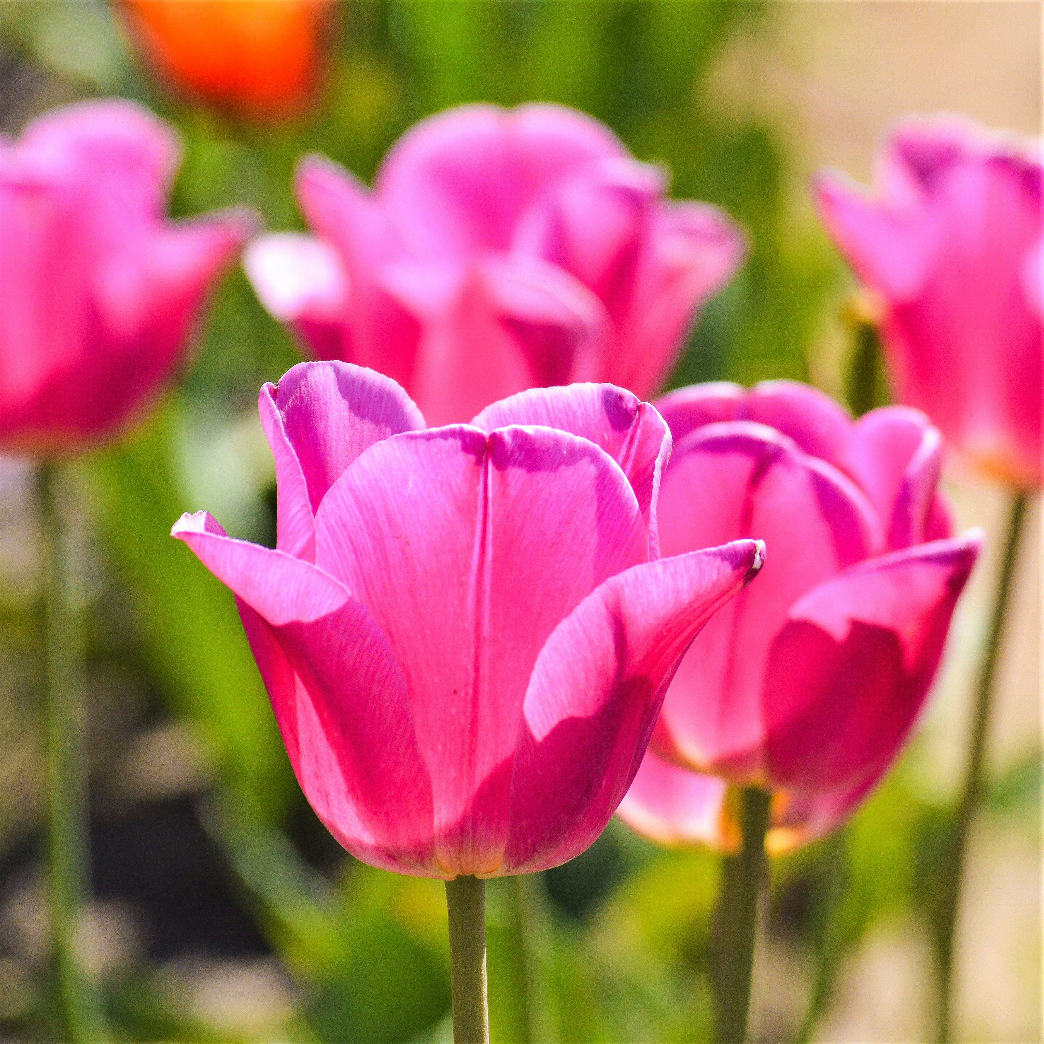 Photo by explorethewayside