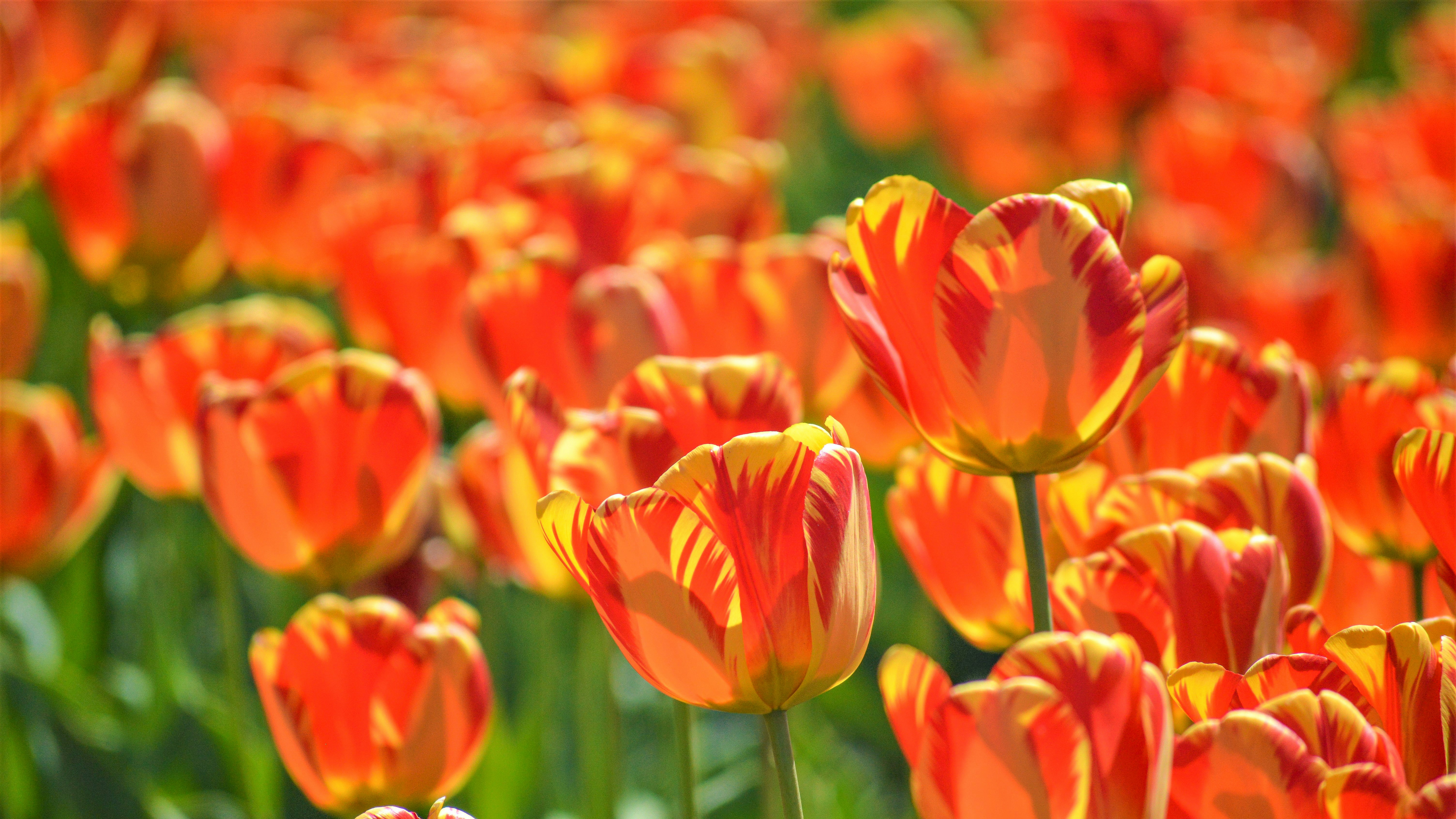 Photo by explorethewayside