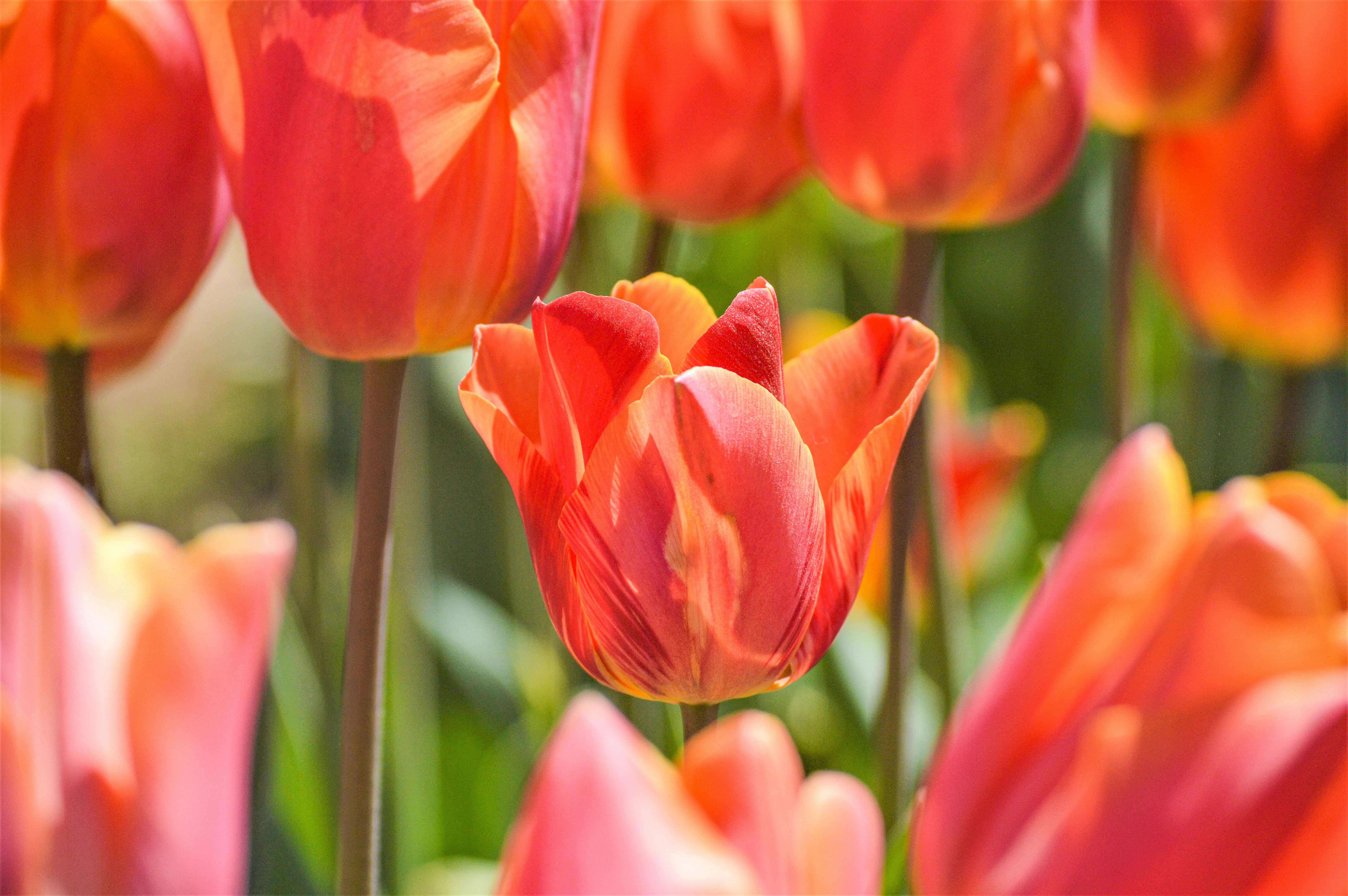 Photo by explorethewayside