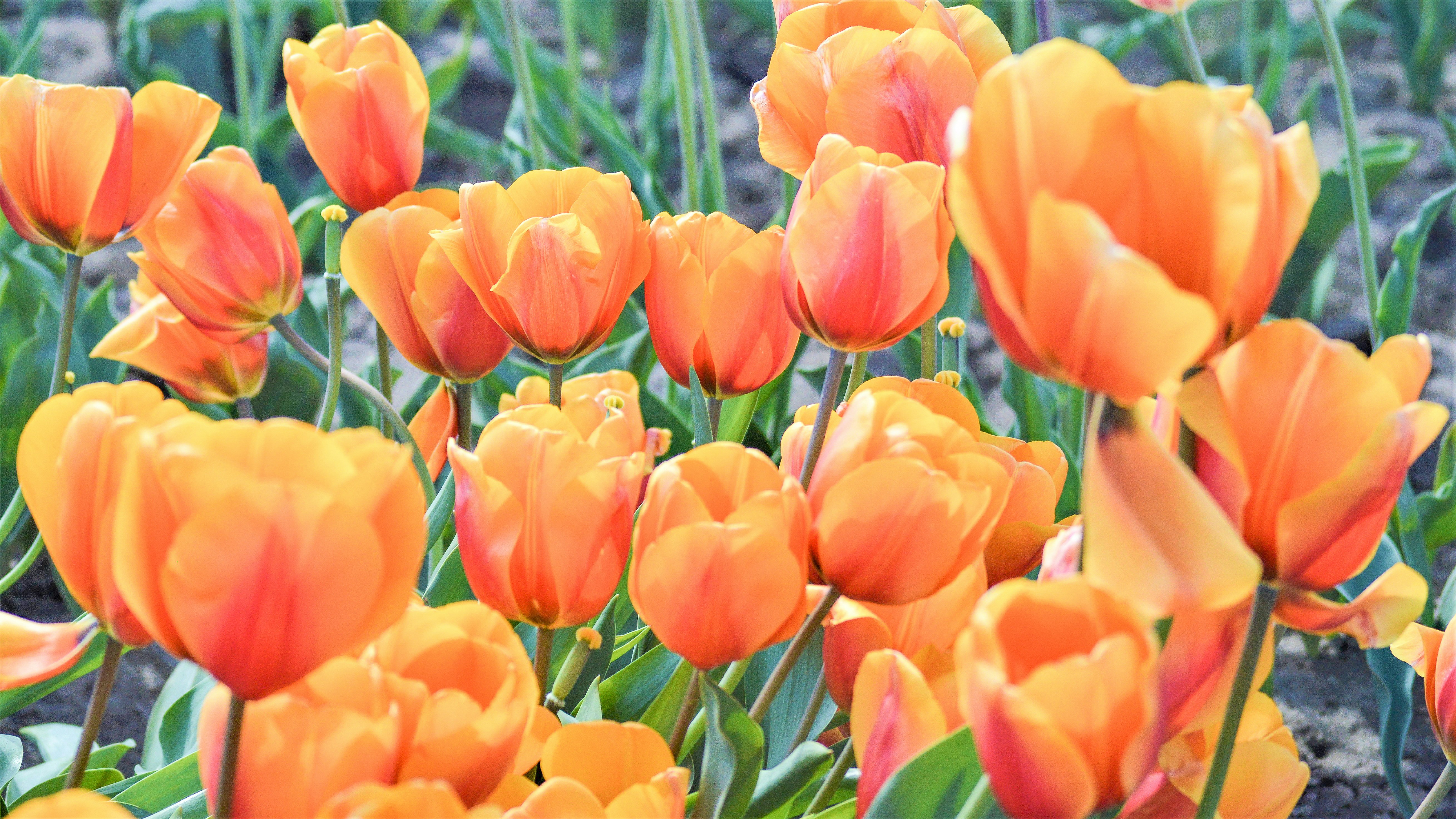 Photo by explorethewayside