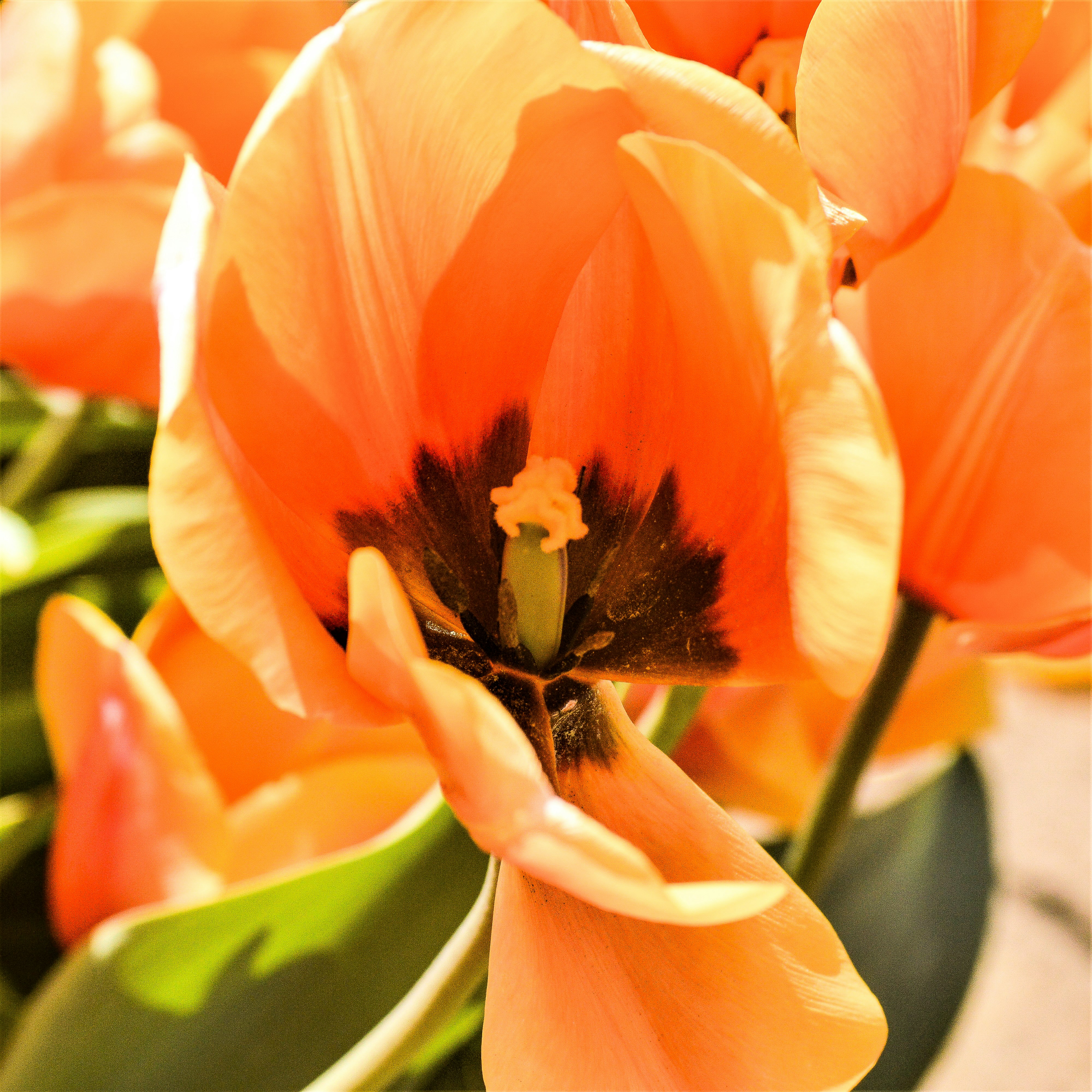 Photo by explorethewayside