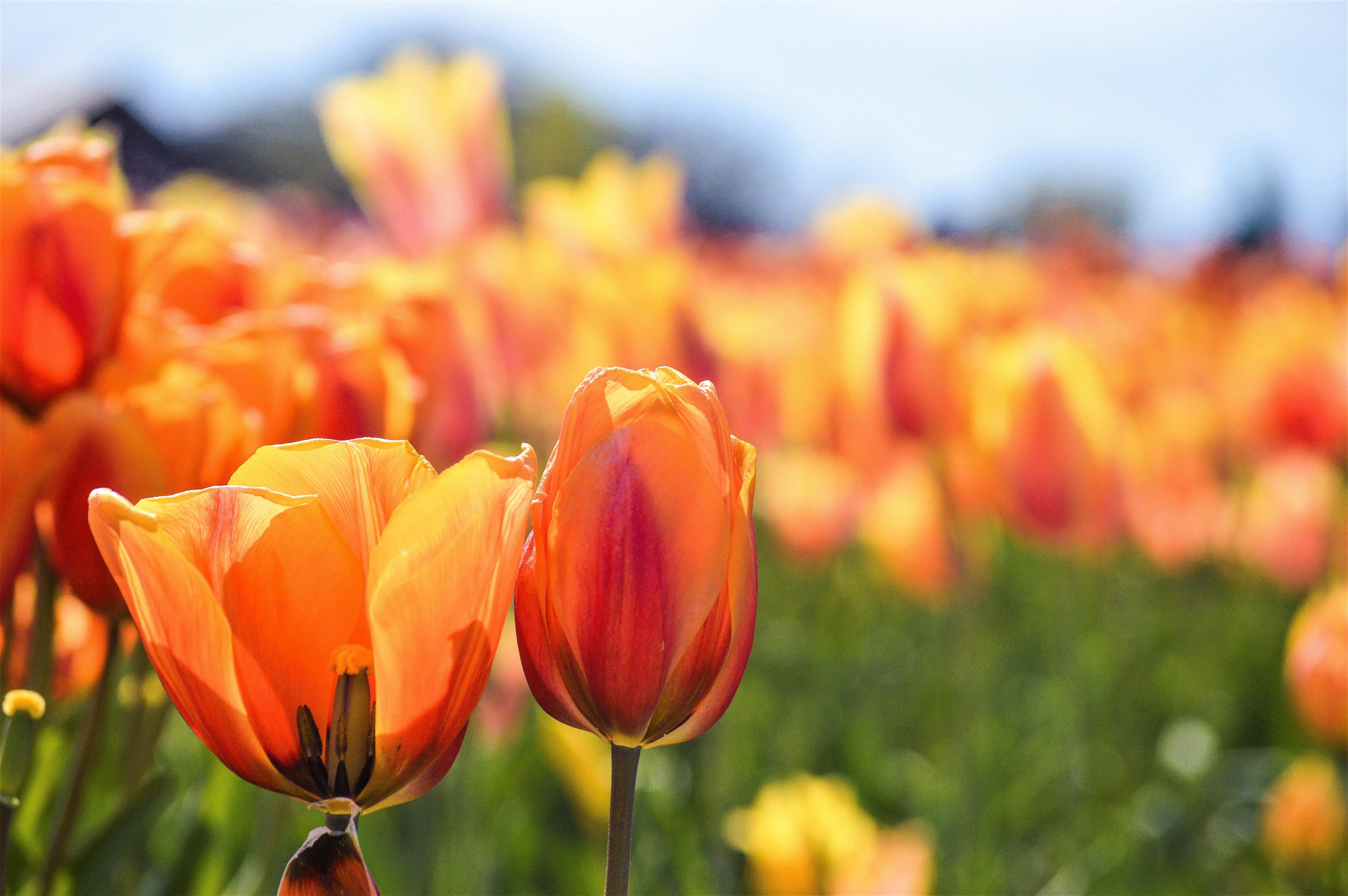 Photo by explorethewayside