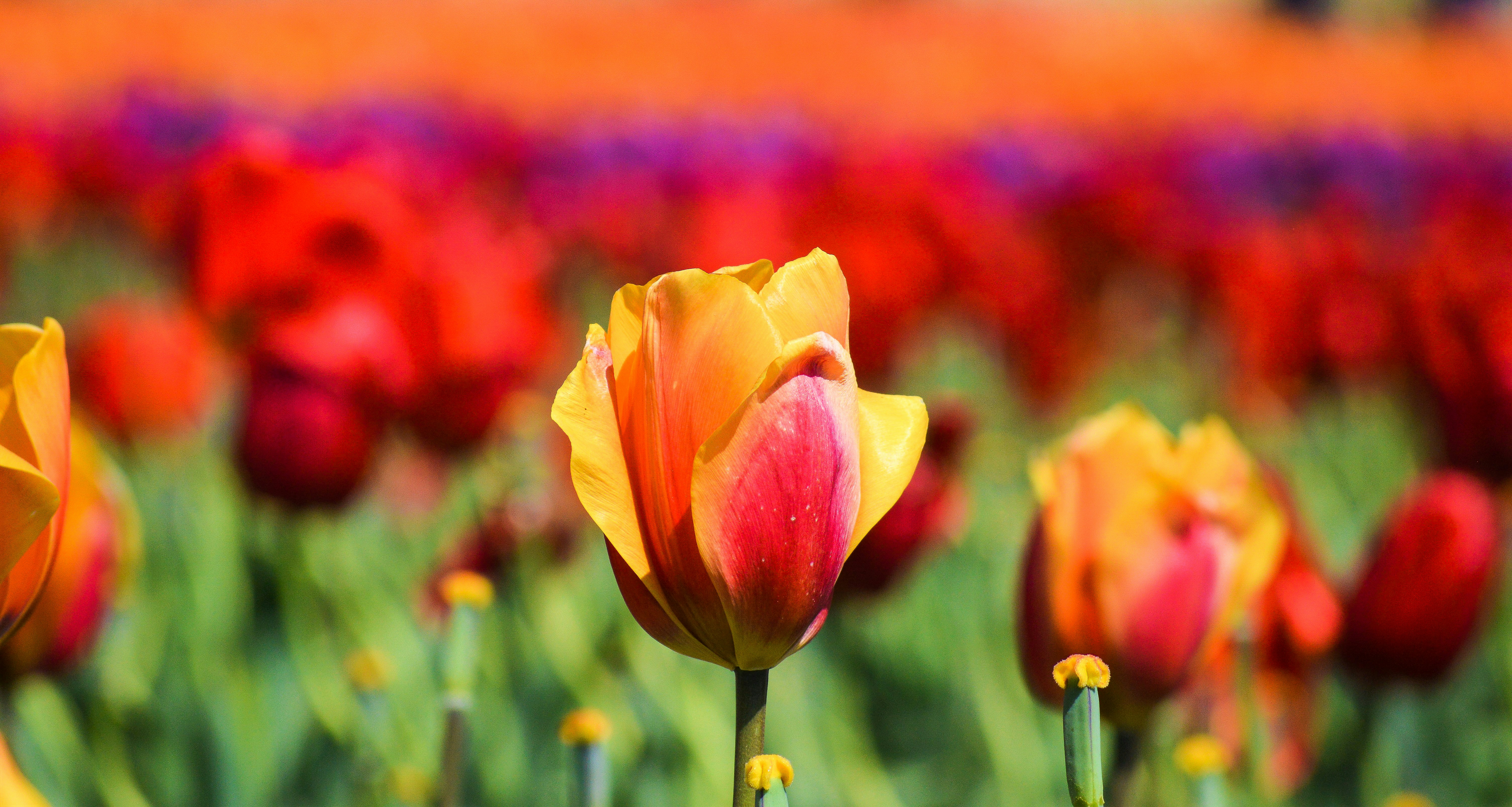 Photo by explorethewayside