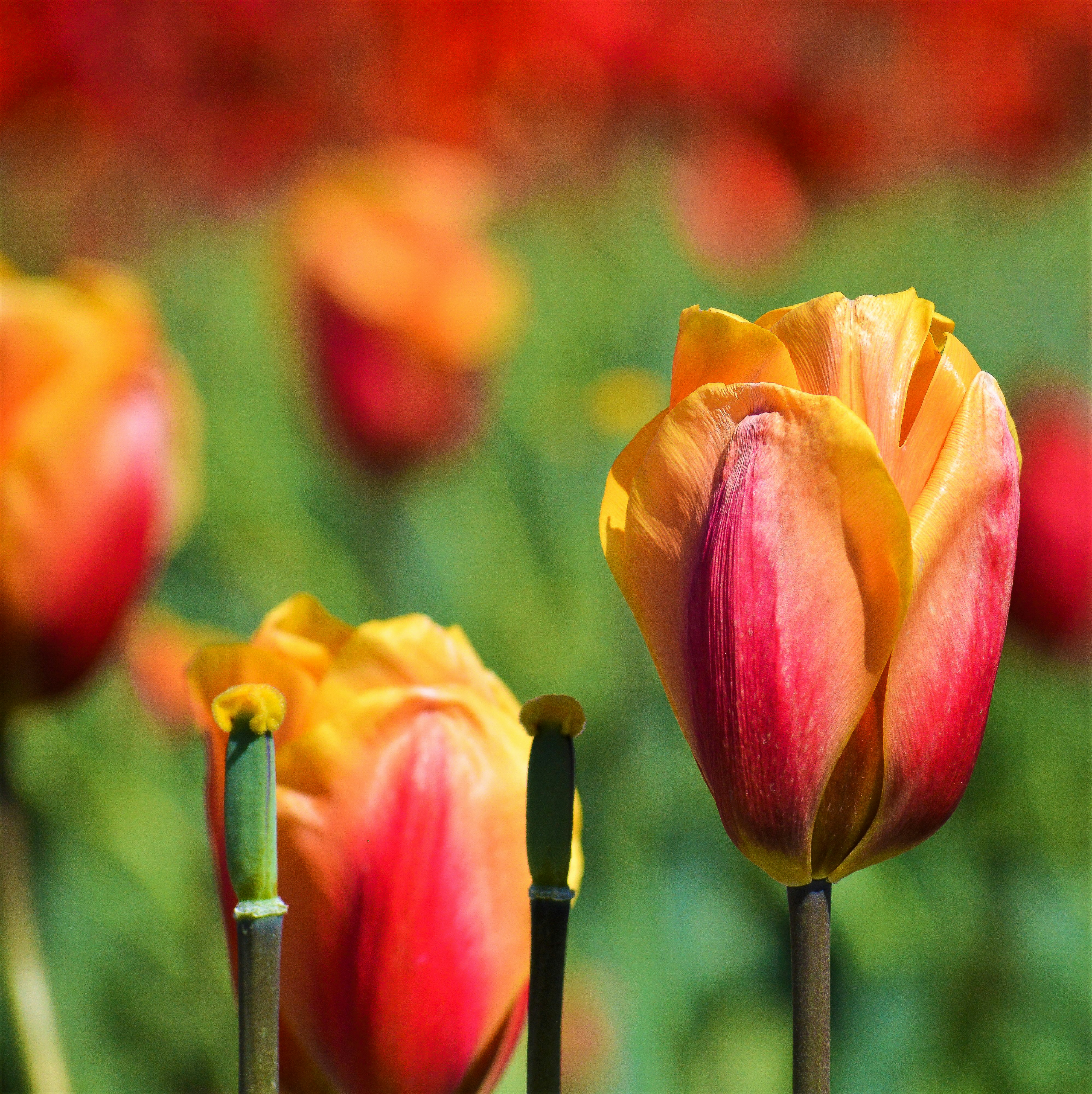 Photo by explorethewayside