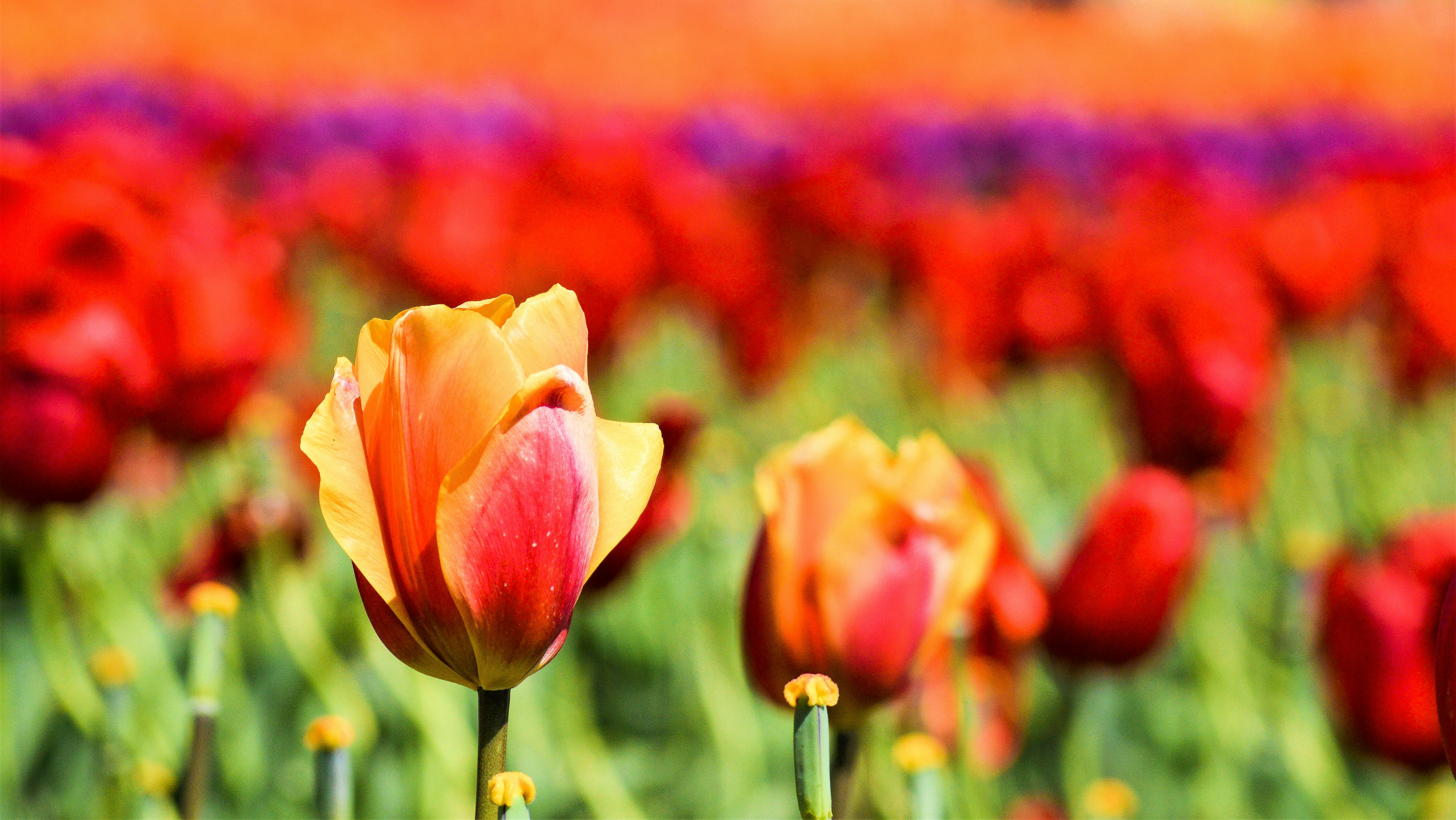 Photo by explorethewayside