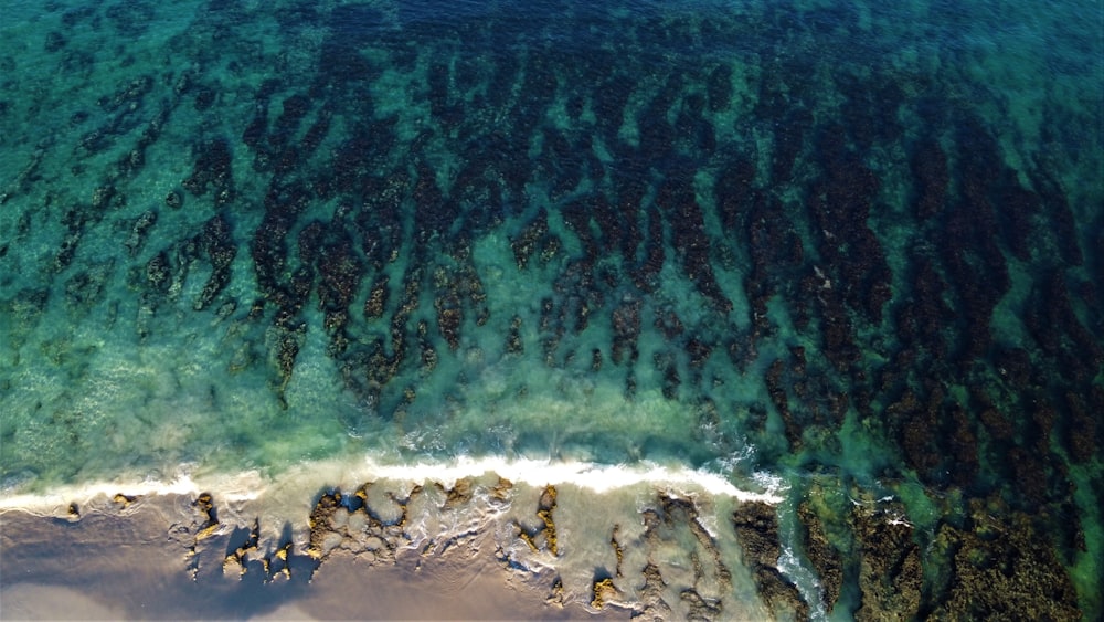 an aerial view of a beach and ocean