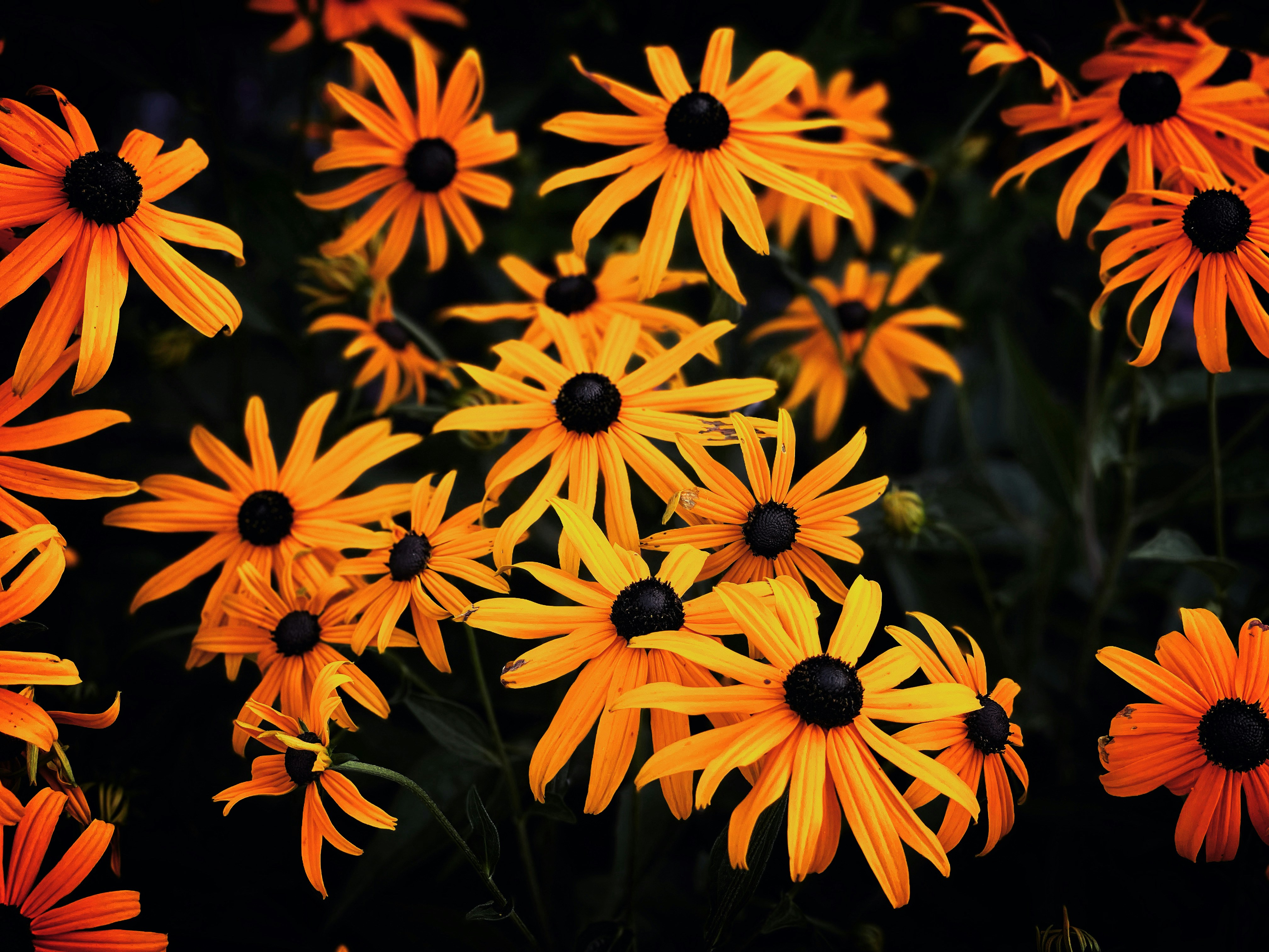 Photo by urbansurfer