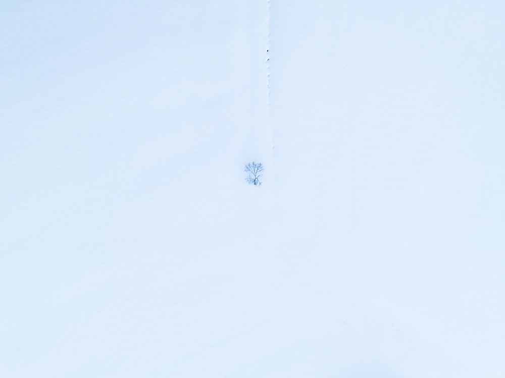 a person riding skis down a snow covered slope