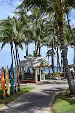 A tropical beach setting with tall palm trees surrounding a small thatched-roof hut labeled as a beach concierge. Multiple colorful surfboards are propped up along a path with 'Aloha' written on them. The ocean is visible in the background under a bright blue sky.