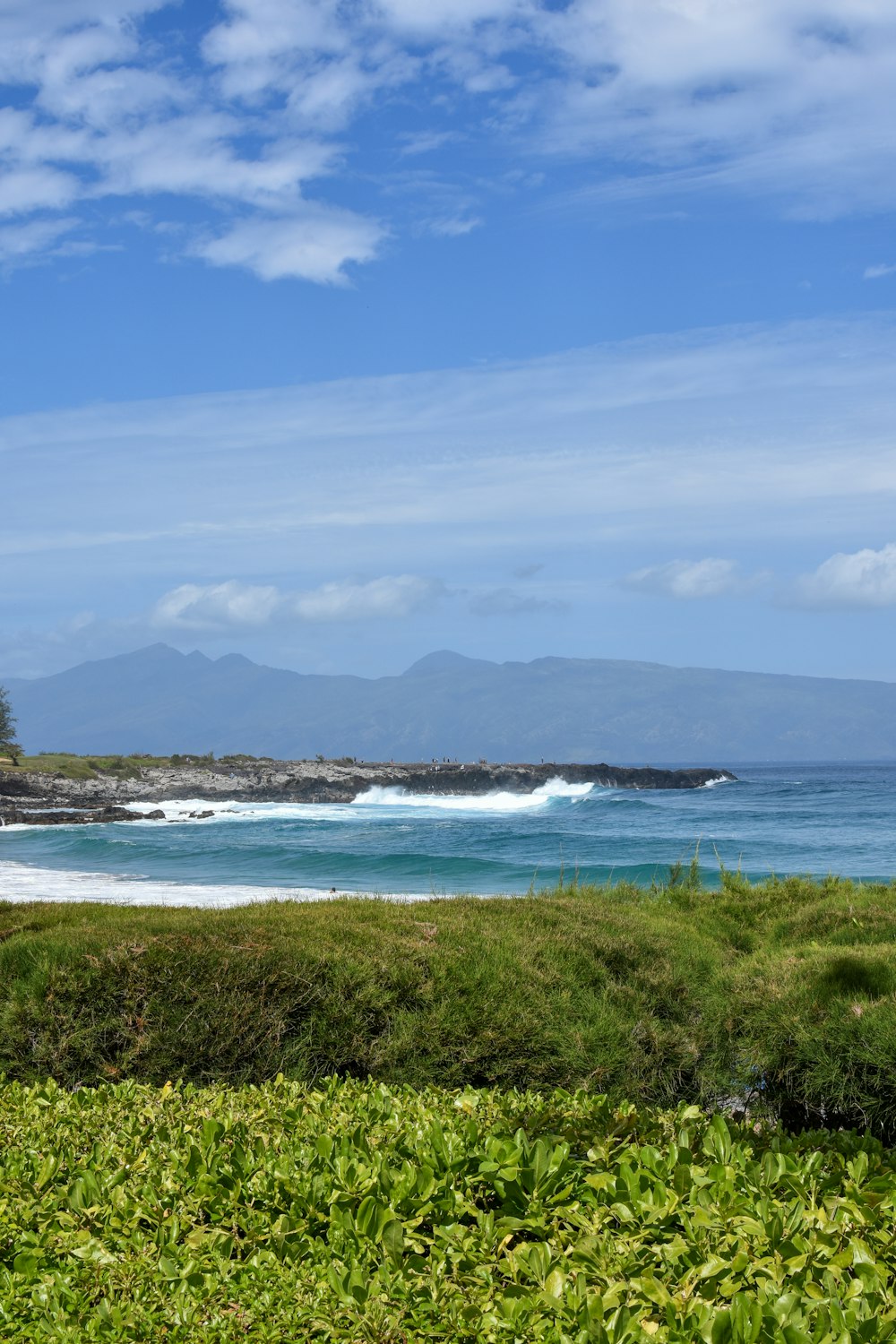 a view of the ocean from a grassy area