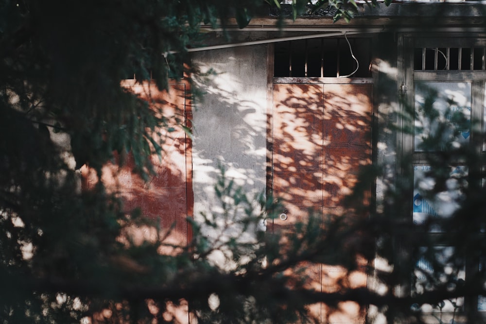 the shadow of a tree on the side of a building