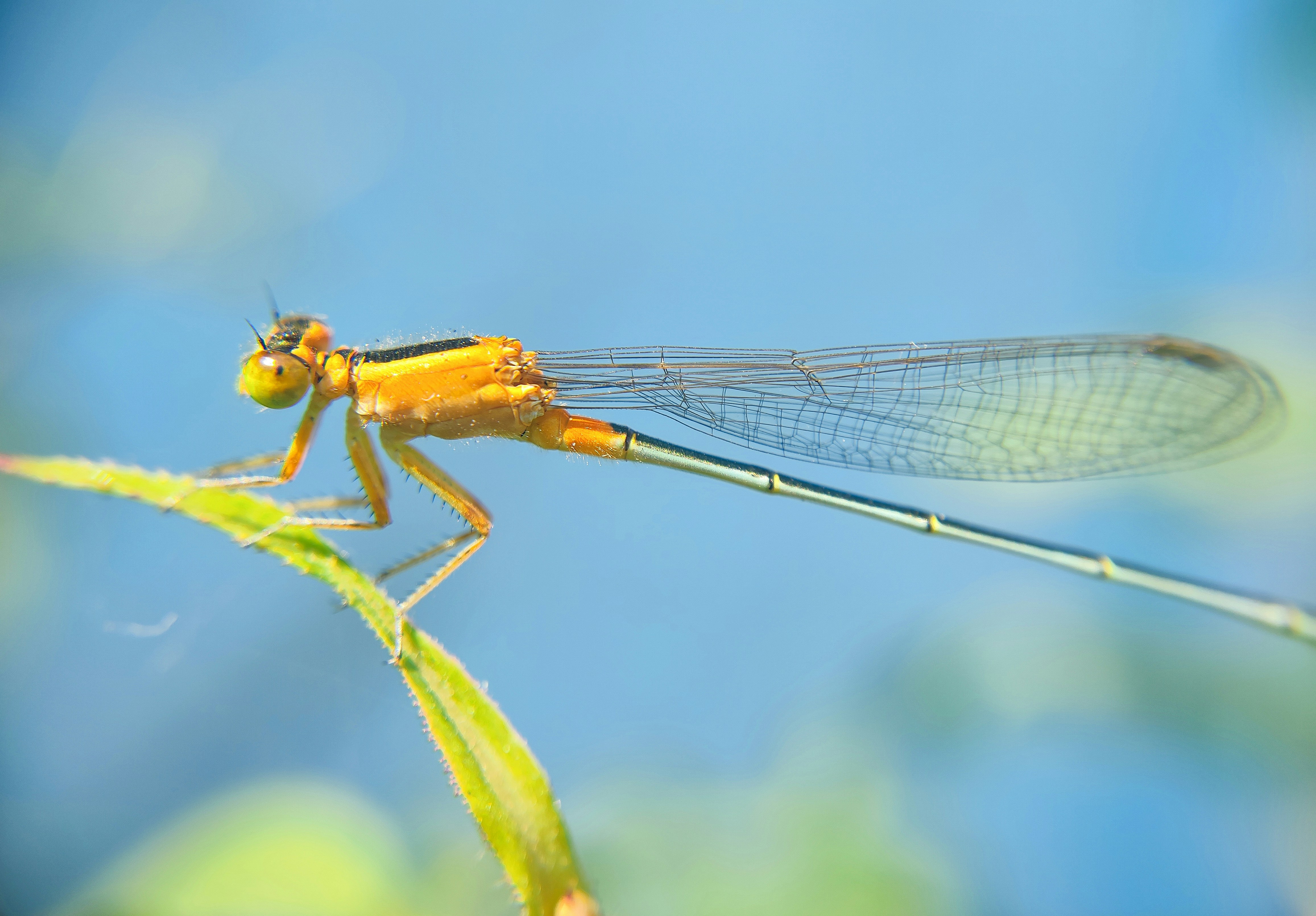 Photo by macrosam