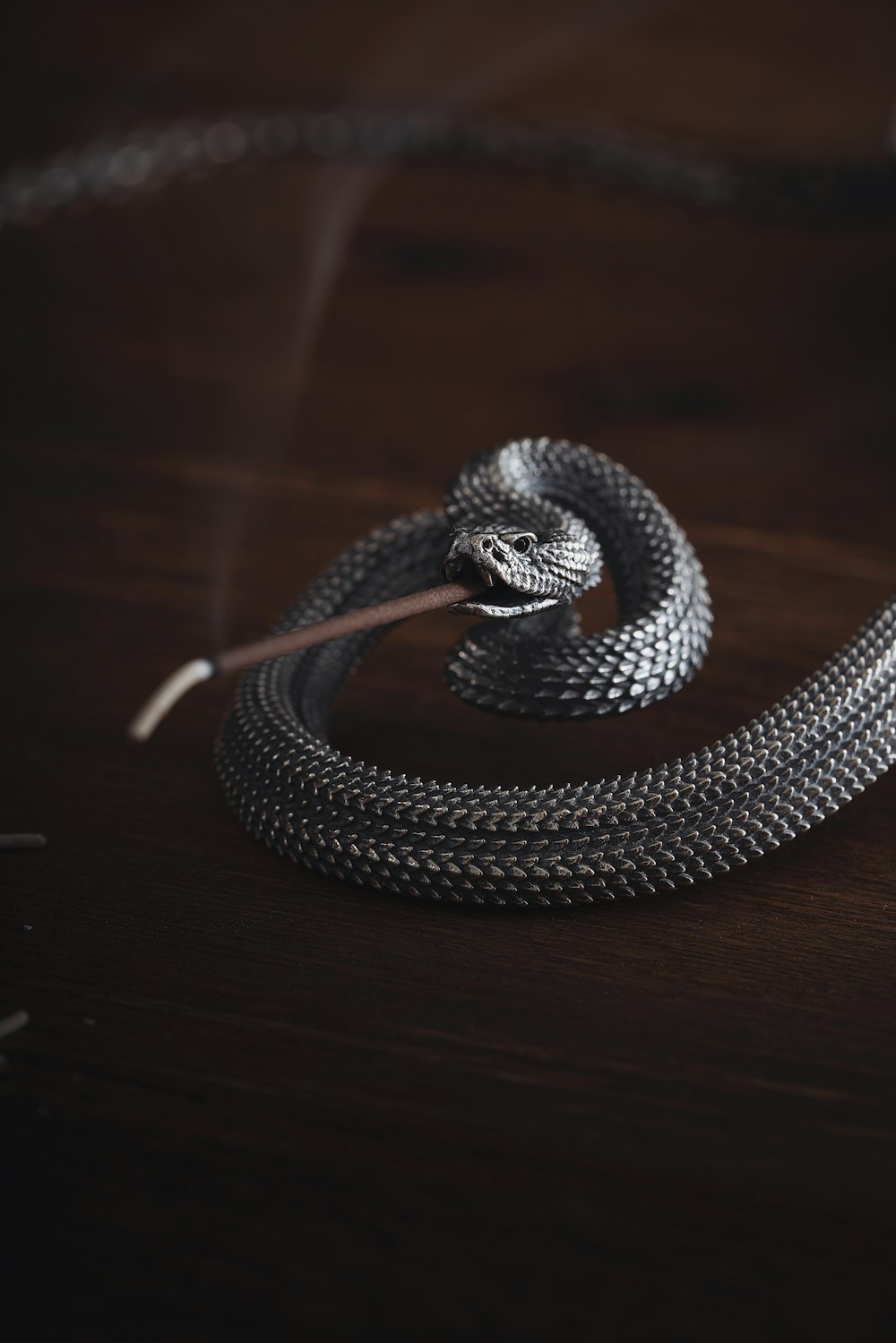 a snake on a table with a stick in its mouth