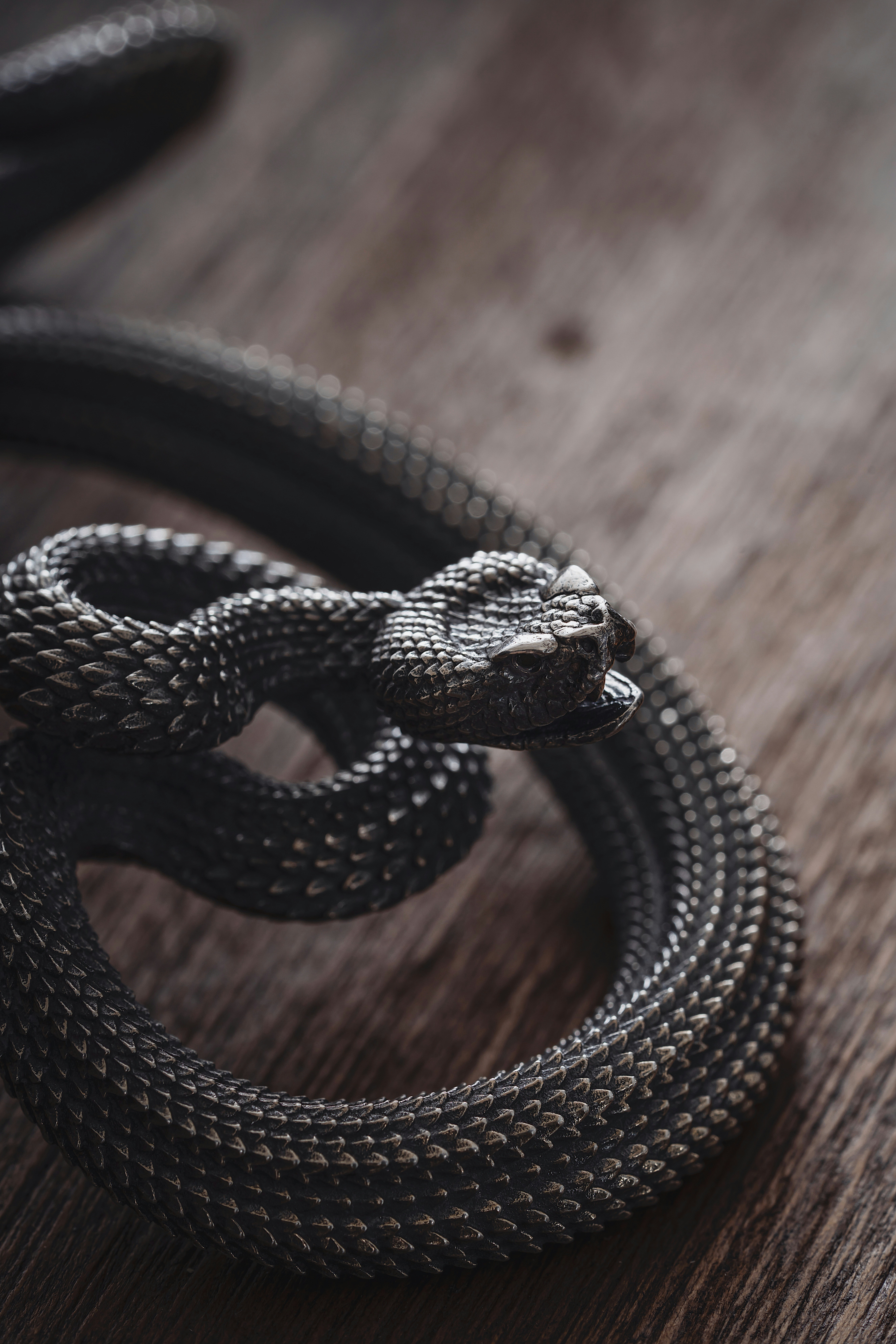 Photo by coppertistwu