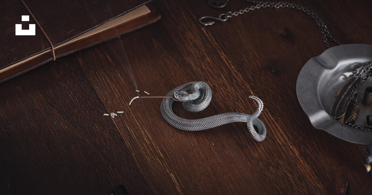 A snake on a table next to a compass photo – Free Animal Image on Unsplash