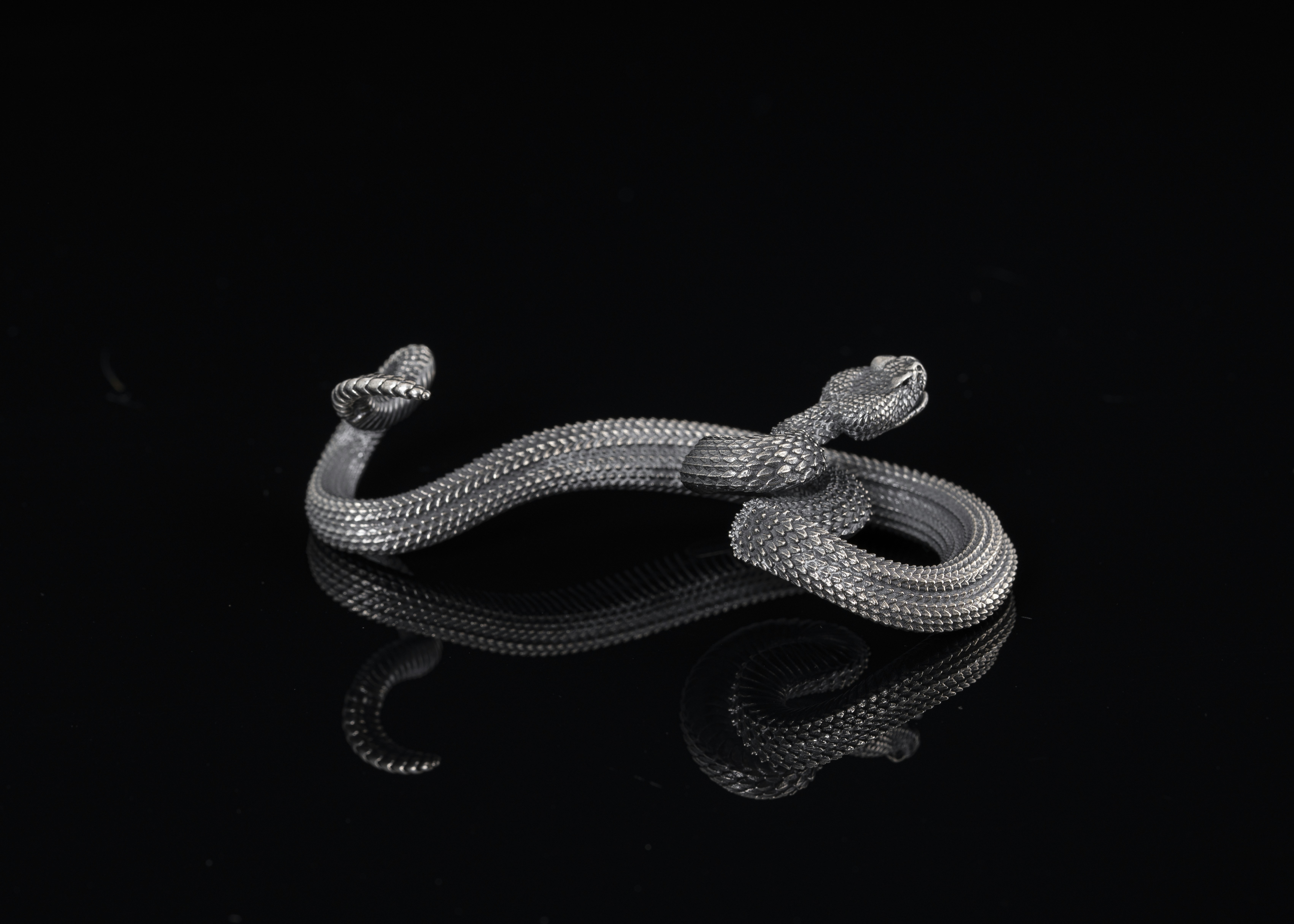 Una serpiente plateada sobre un fondo negro foto – Imagen de Animal  gratuita en Unsplash, image size:3000x2143