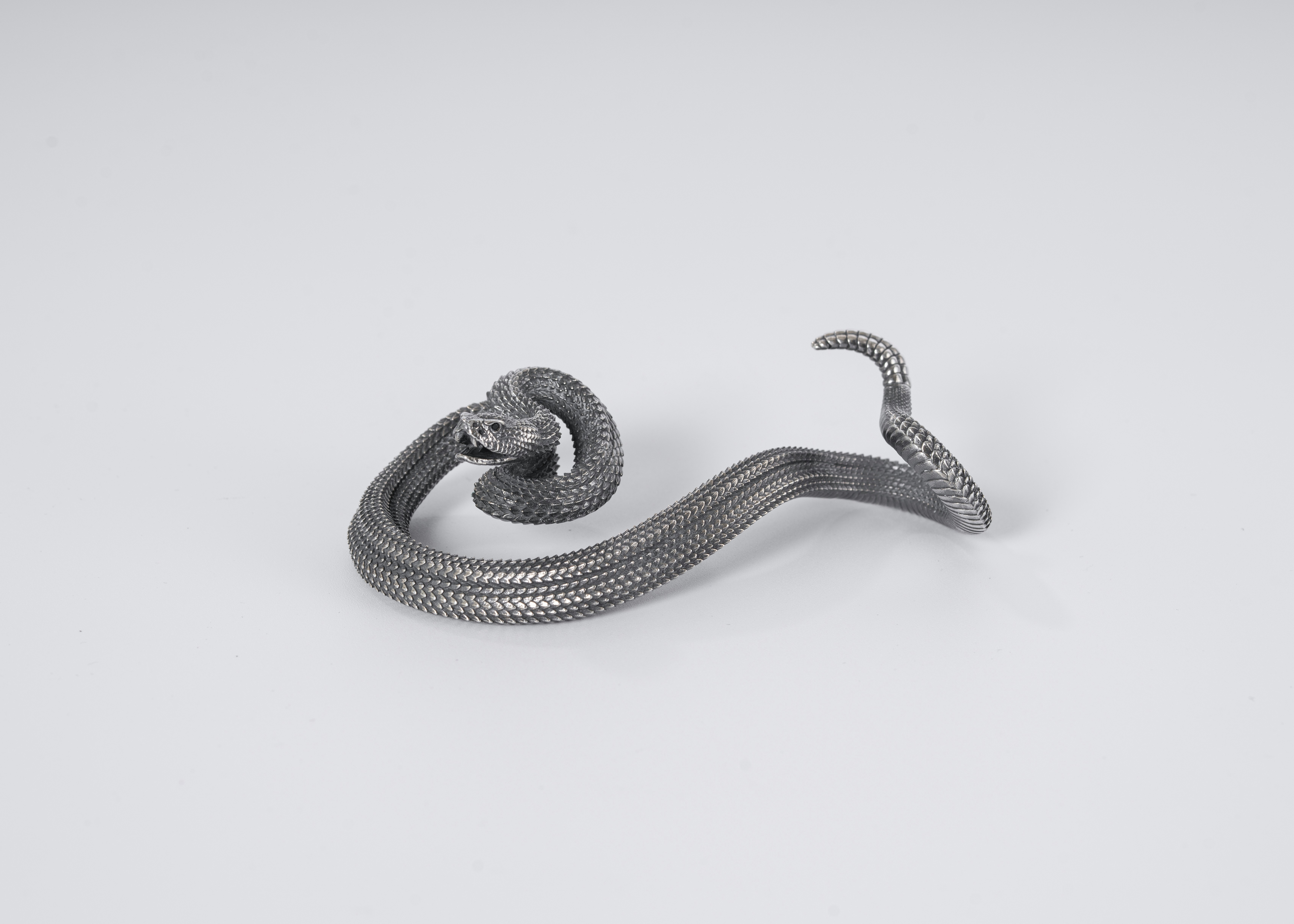 Photo by coppertistwu